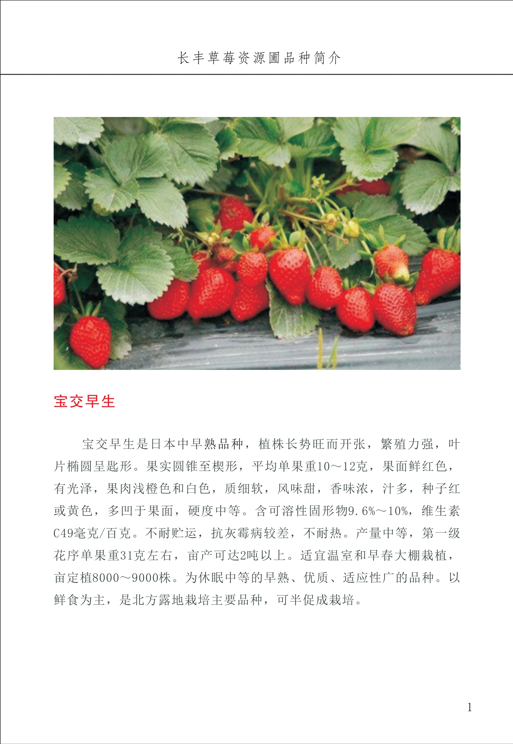 長(cháng)丰农技中心1_5.jpg