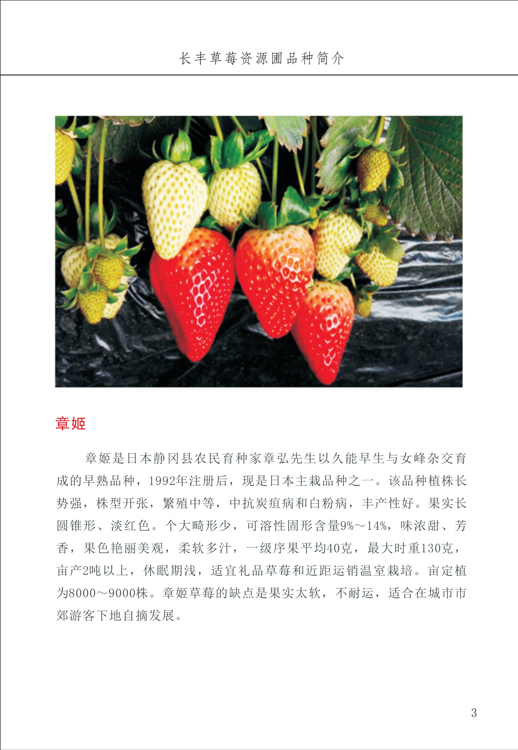 長(cháng)丰农技中心1_7.jpg