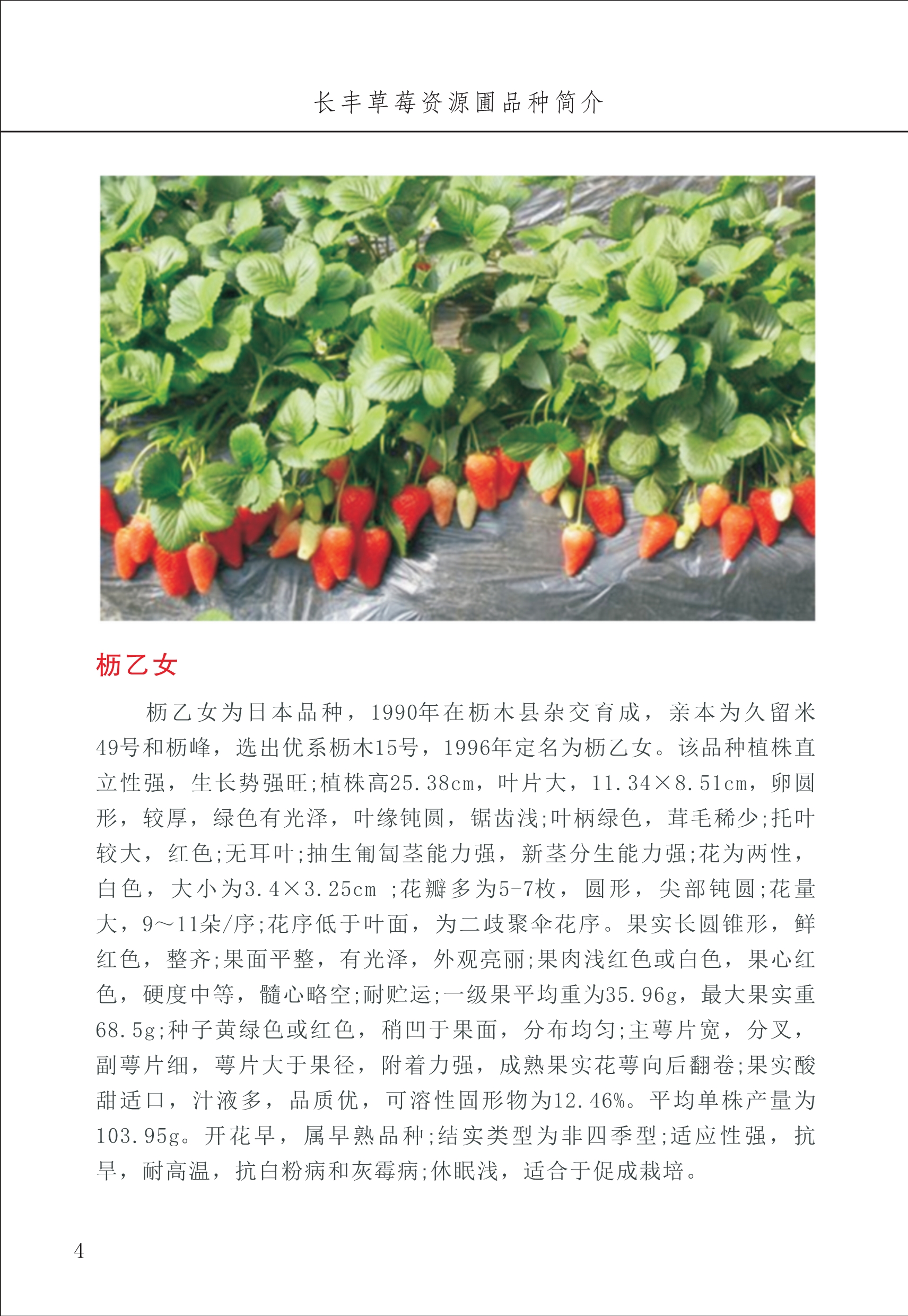 長(cháng)丰农技中心1_8.jpg