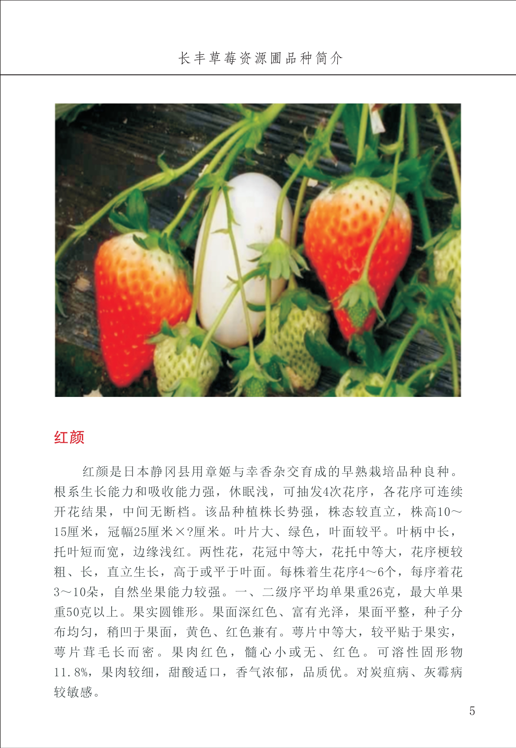 長(cháng)丰农技中心1_9.jpg