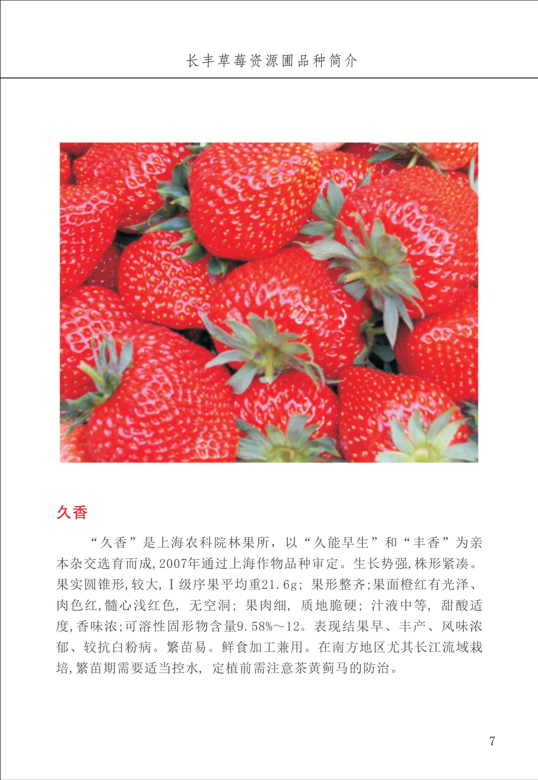 長(cháng)丰农技中心1_11.jpg