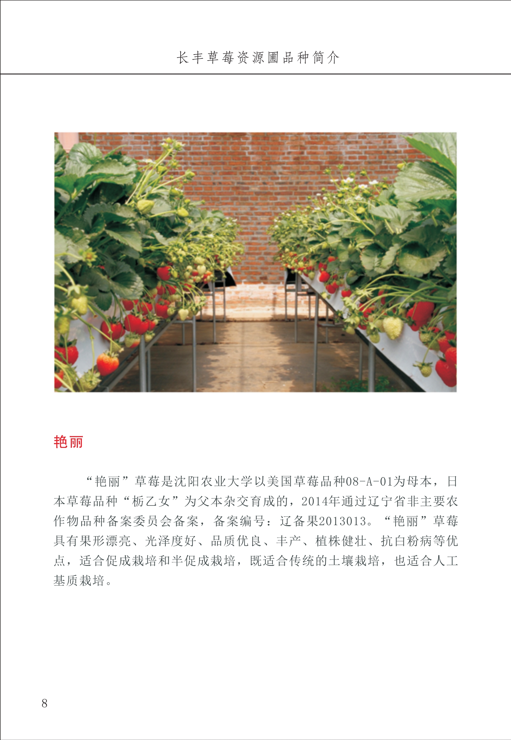 長(cháng)丰农技中心1_12.jpg