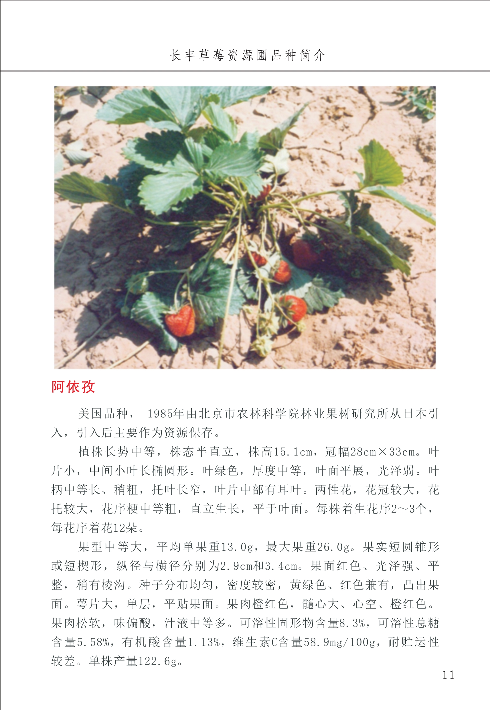 長(cháng)丰农技中心1_15.jpg