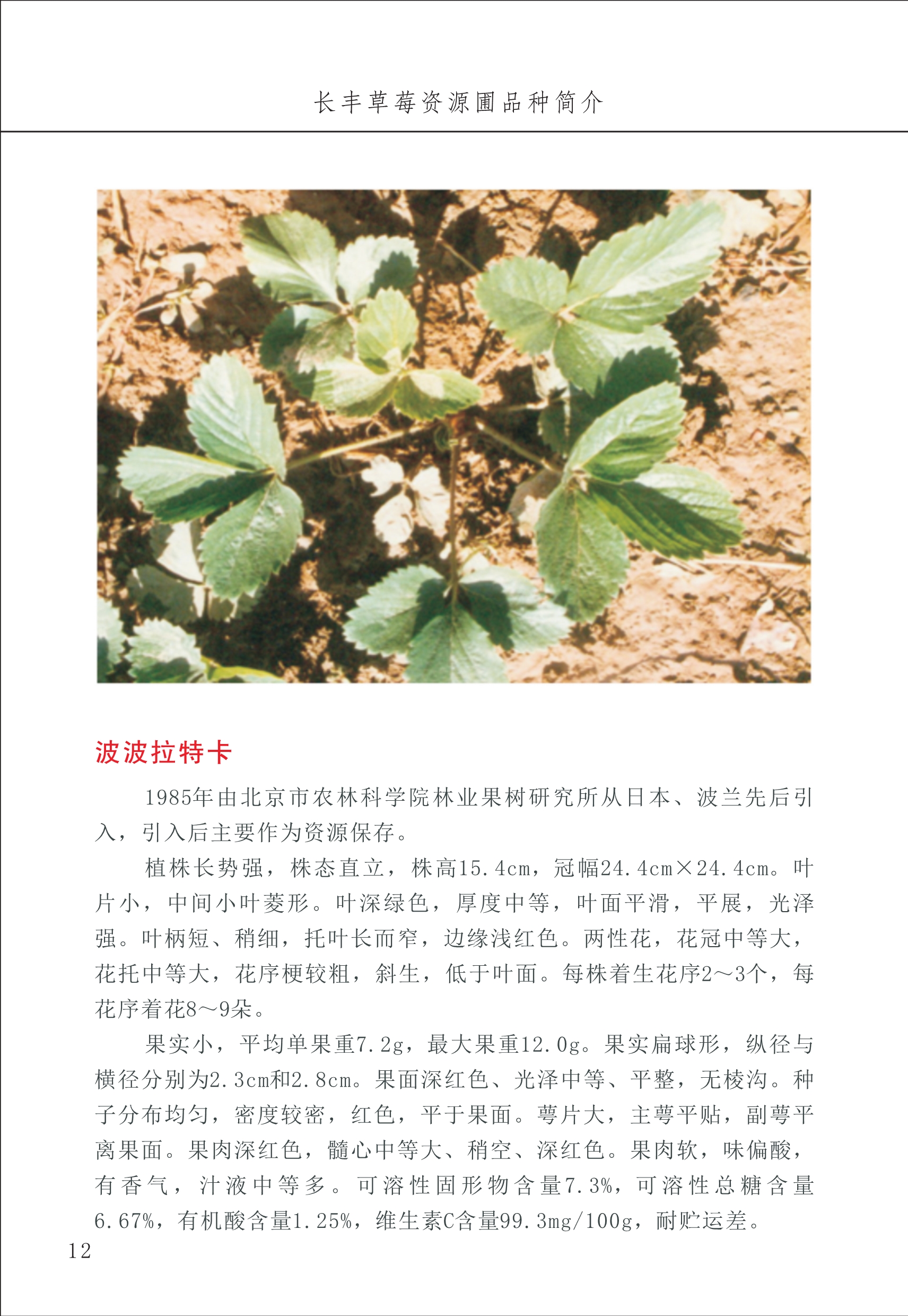 長(cháng)丰农技中心1_16.jpg