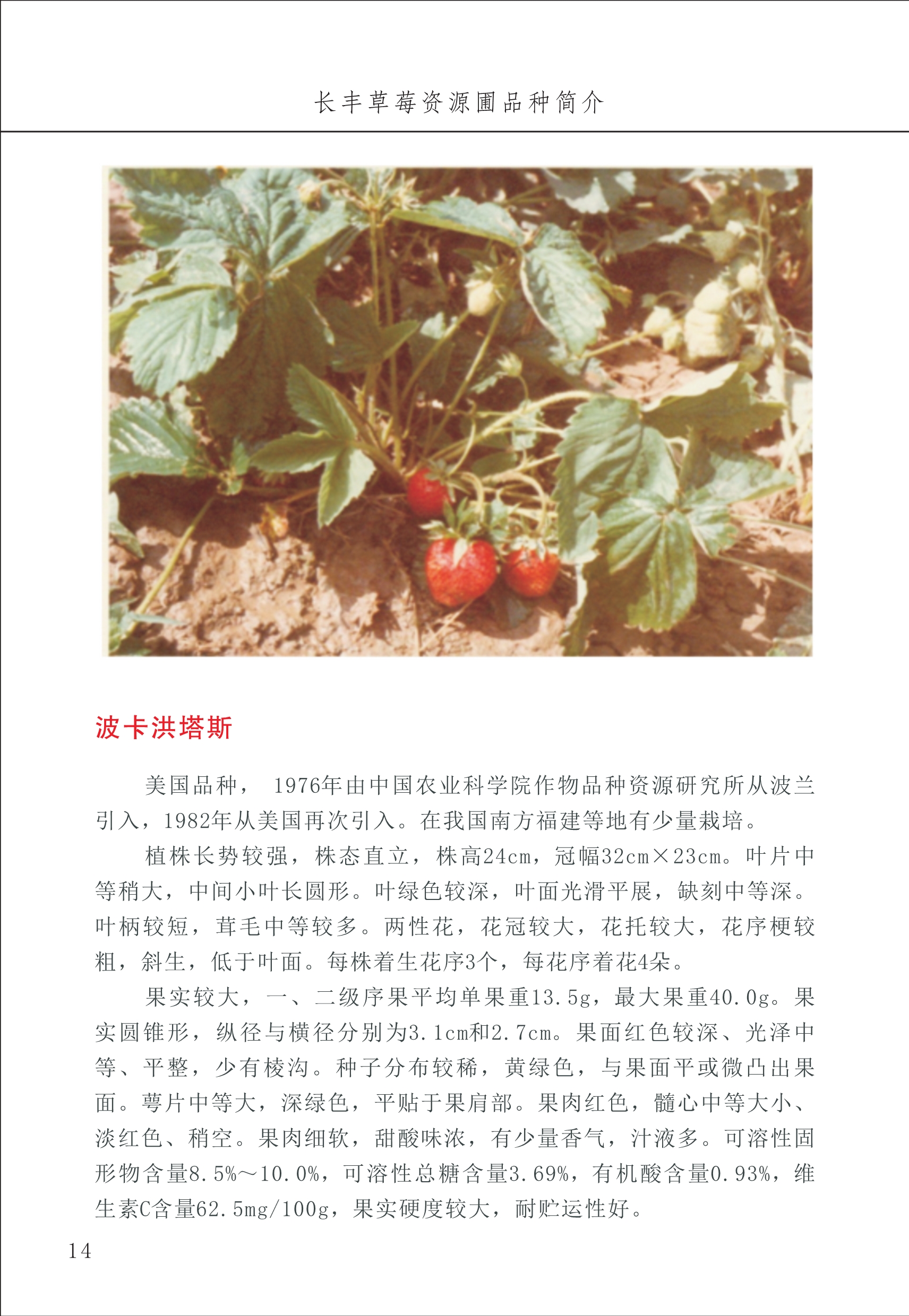 長(cháng)丰农技中心1_18.jpg