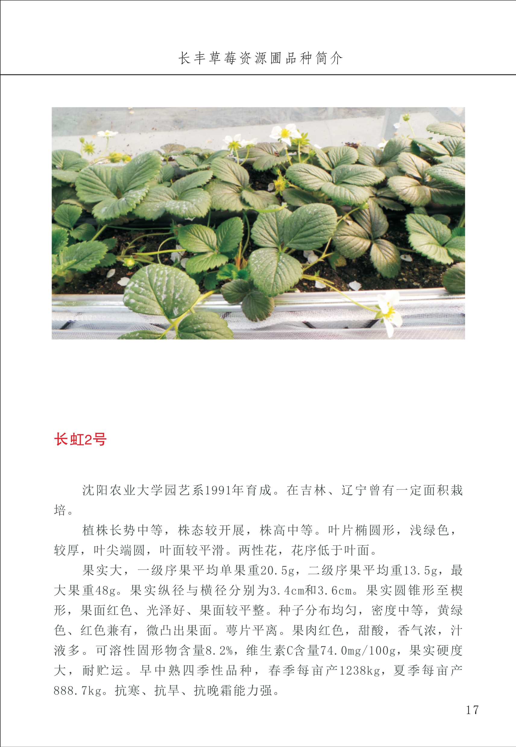 長(cháng)丰农技中心1_21.jpg