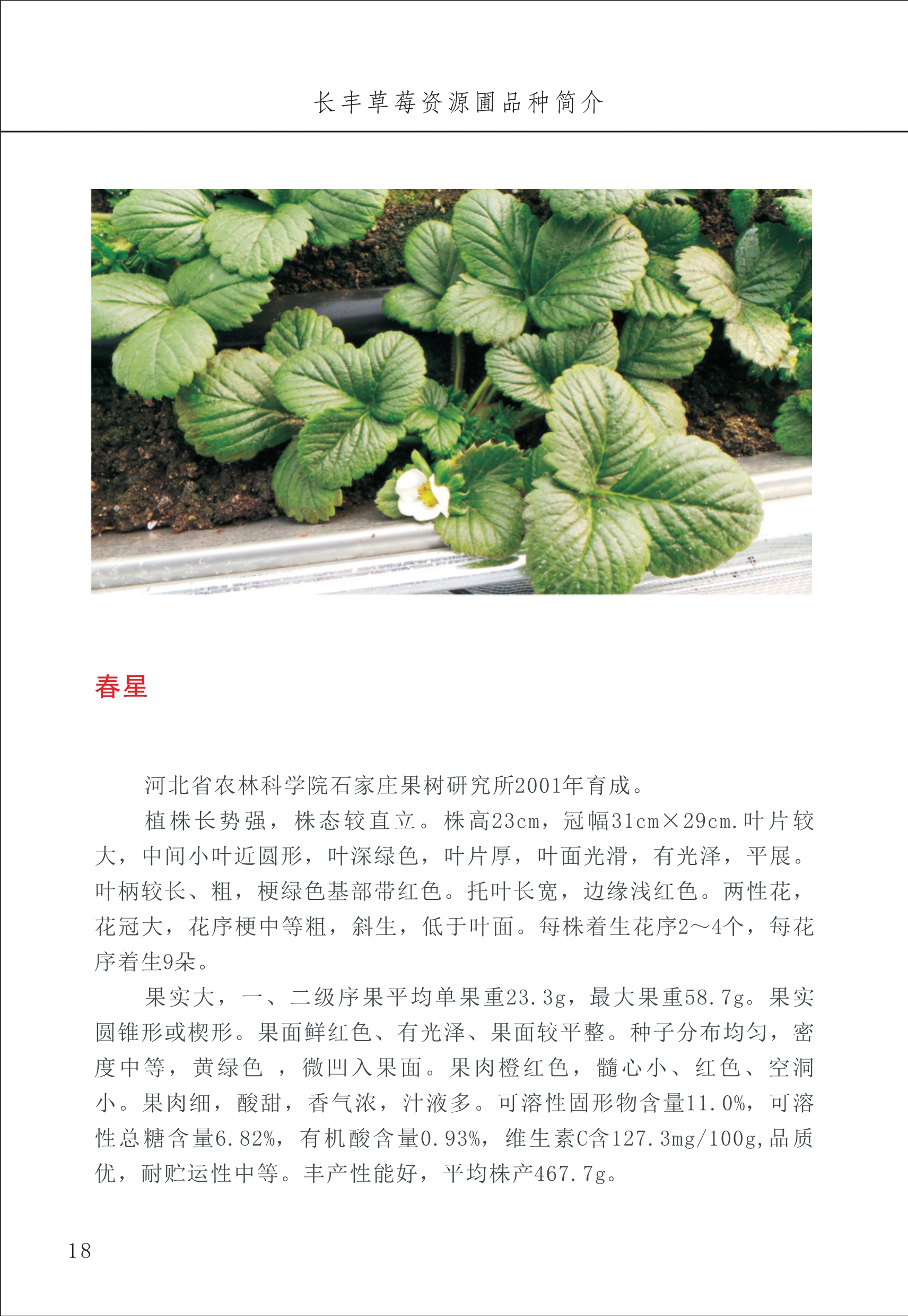 長(cháng)丰农技中心1_22.jpg