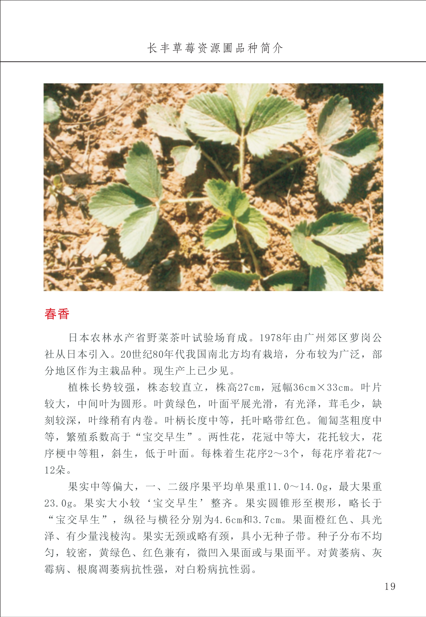 長(cháng)丰农技中心1_23.jpg