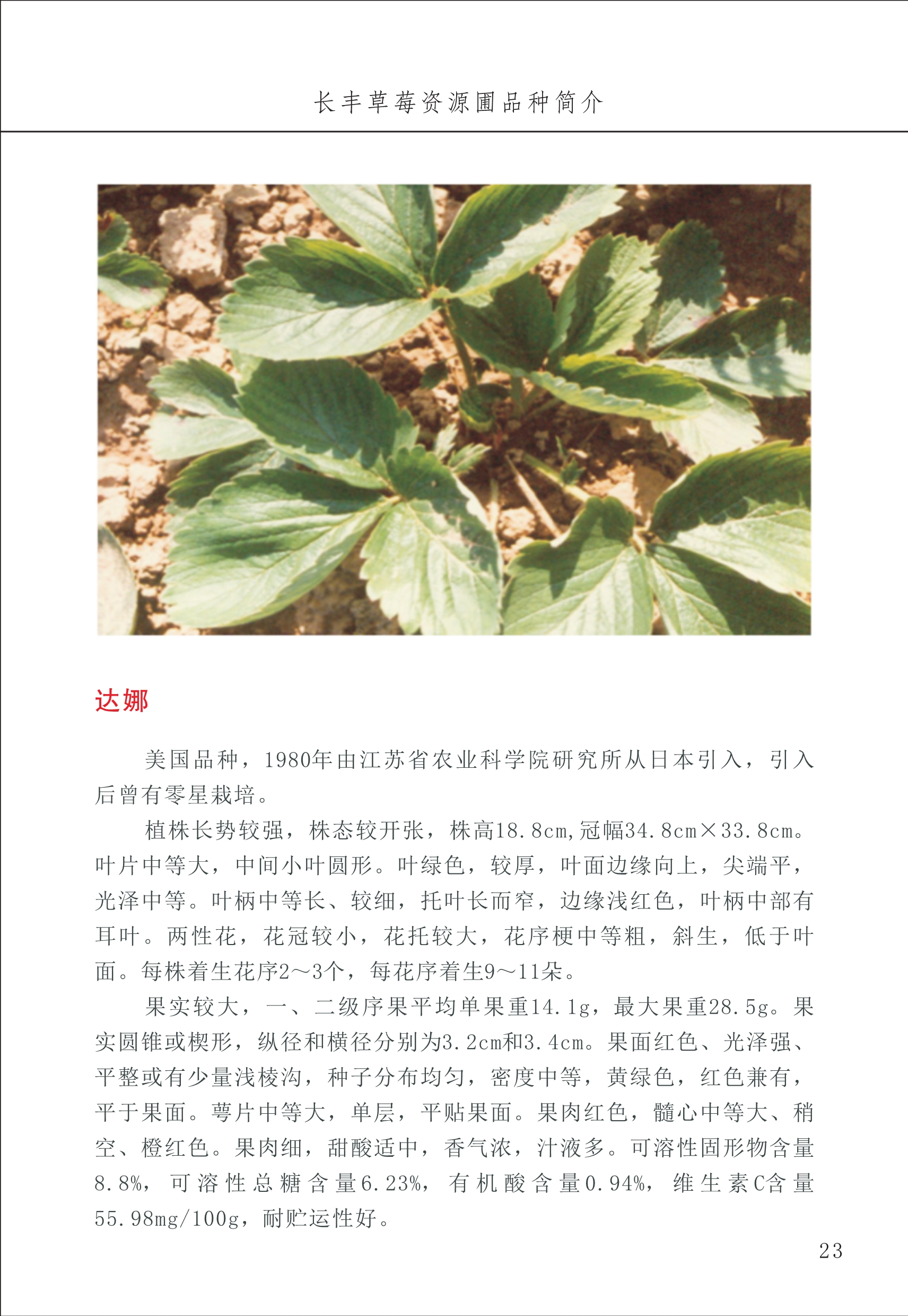 長(cháng)丰农技中心1_27.jpg