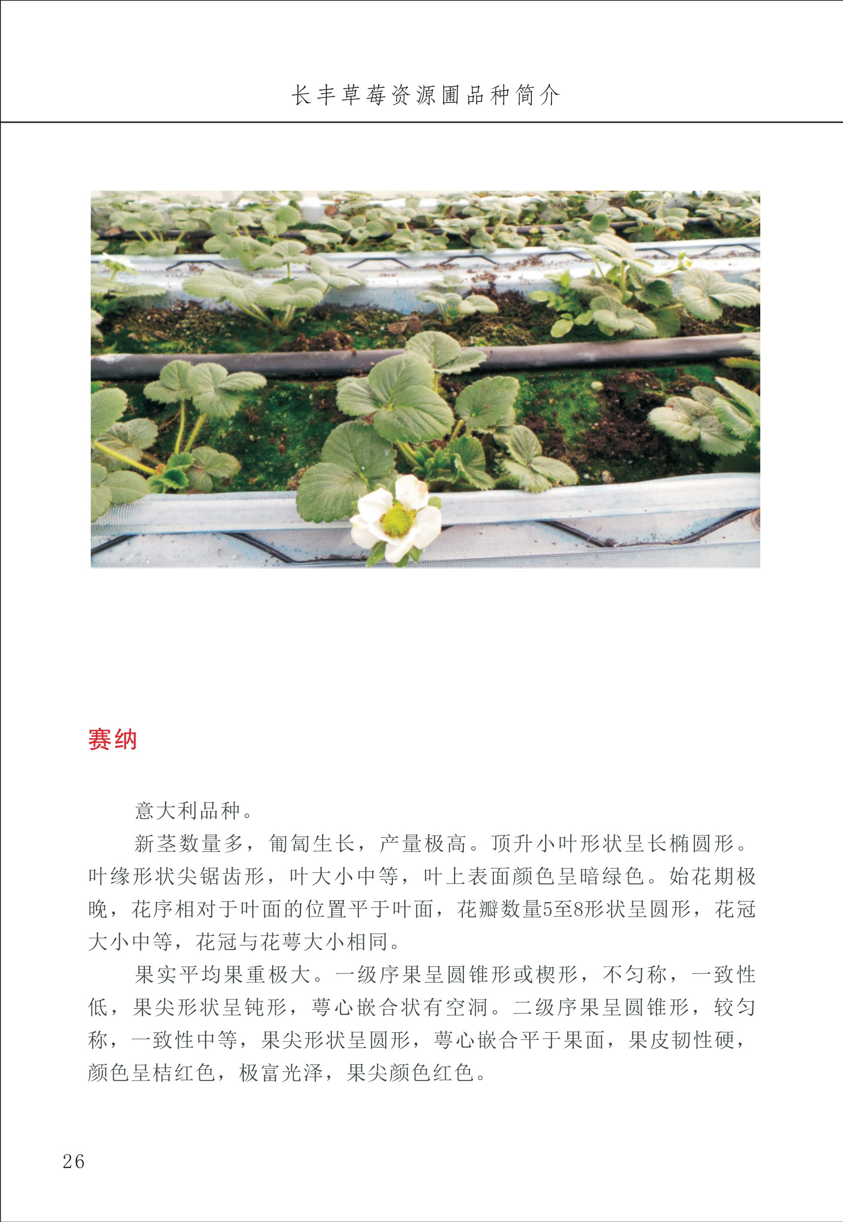 長(cháng)丰农技中心1_30.jpg