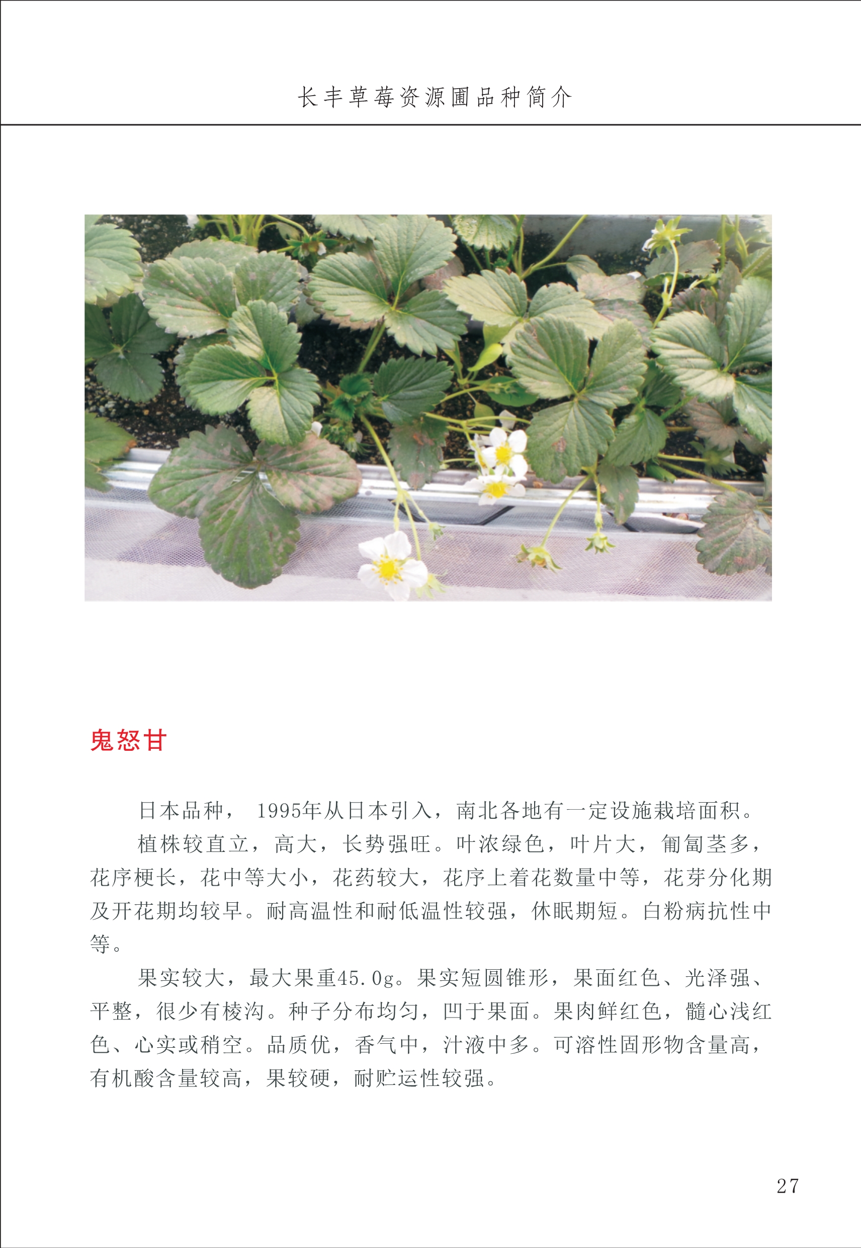 長(cháng)丰农技中心1_31.jpg