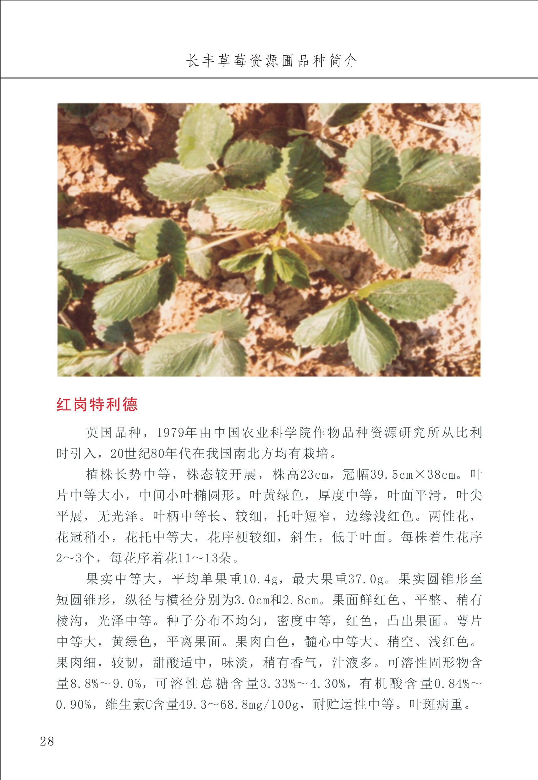 長(cháng)丰农技中心1_32.jpg