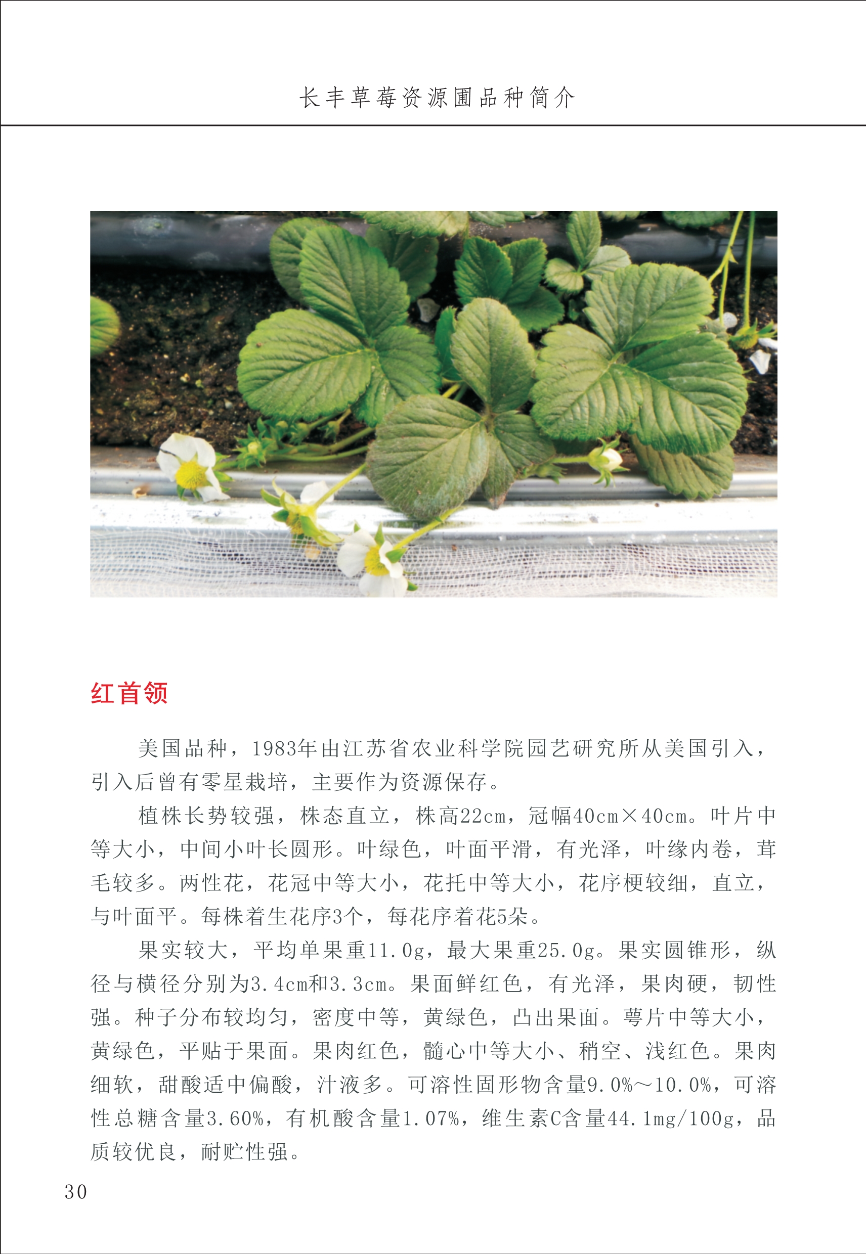 長(cháng)丰农技中心1_34.jpg