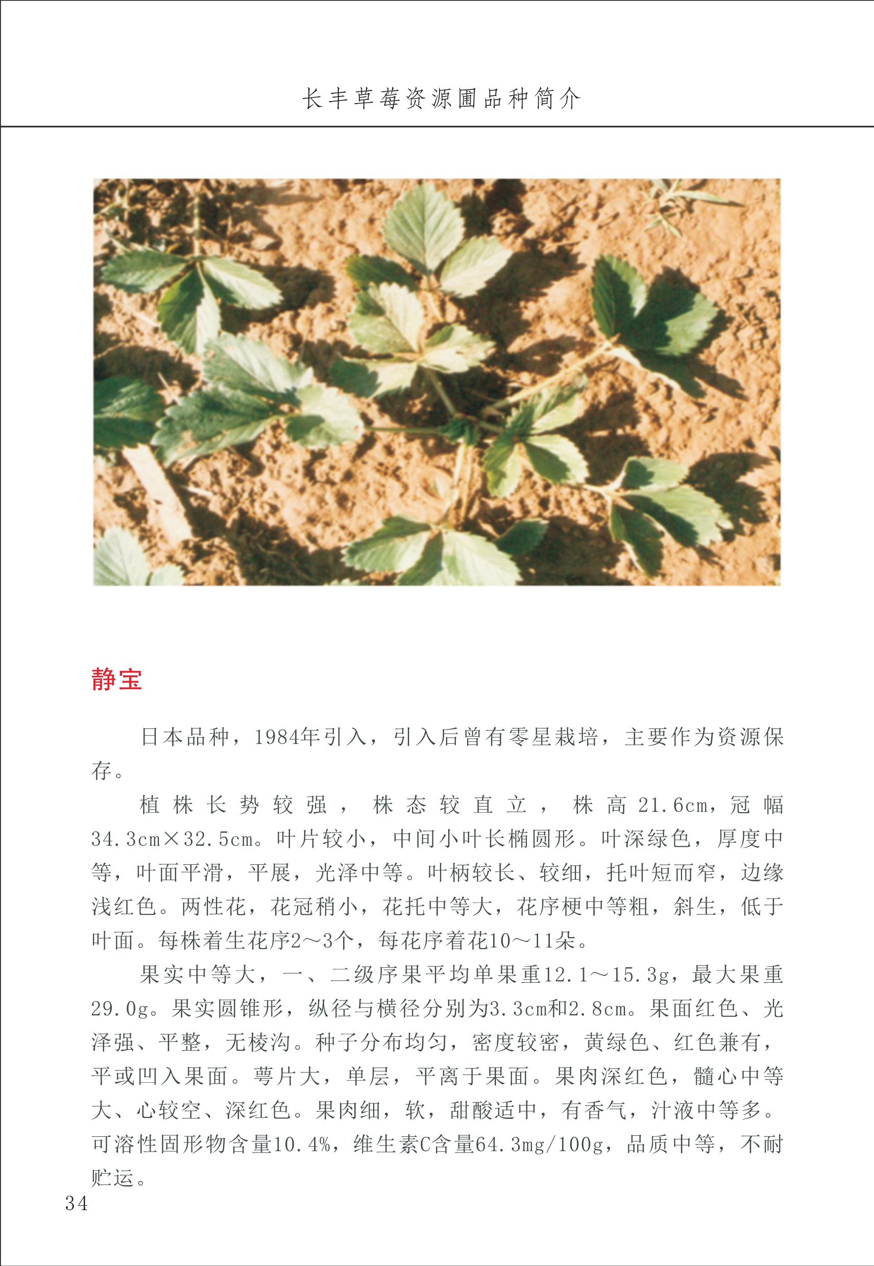 長(cháng)丰农技中心1_38.jpg