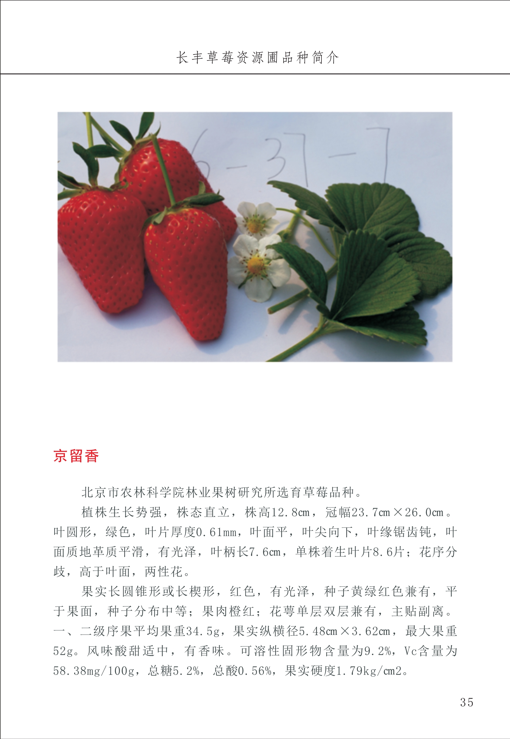 長(cháng)丰农技中心1_39.jpg