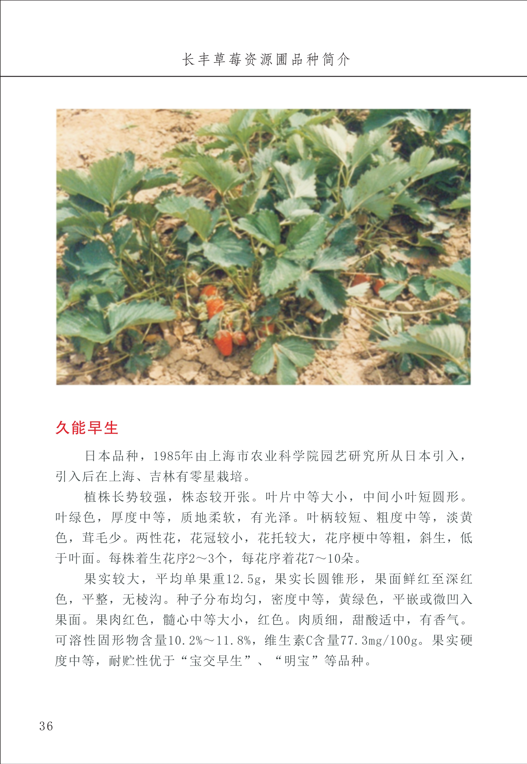 長(cháng)丰农技中心1_40.jpg