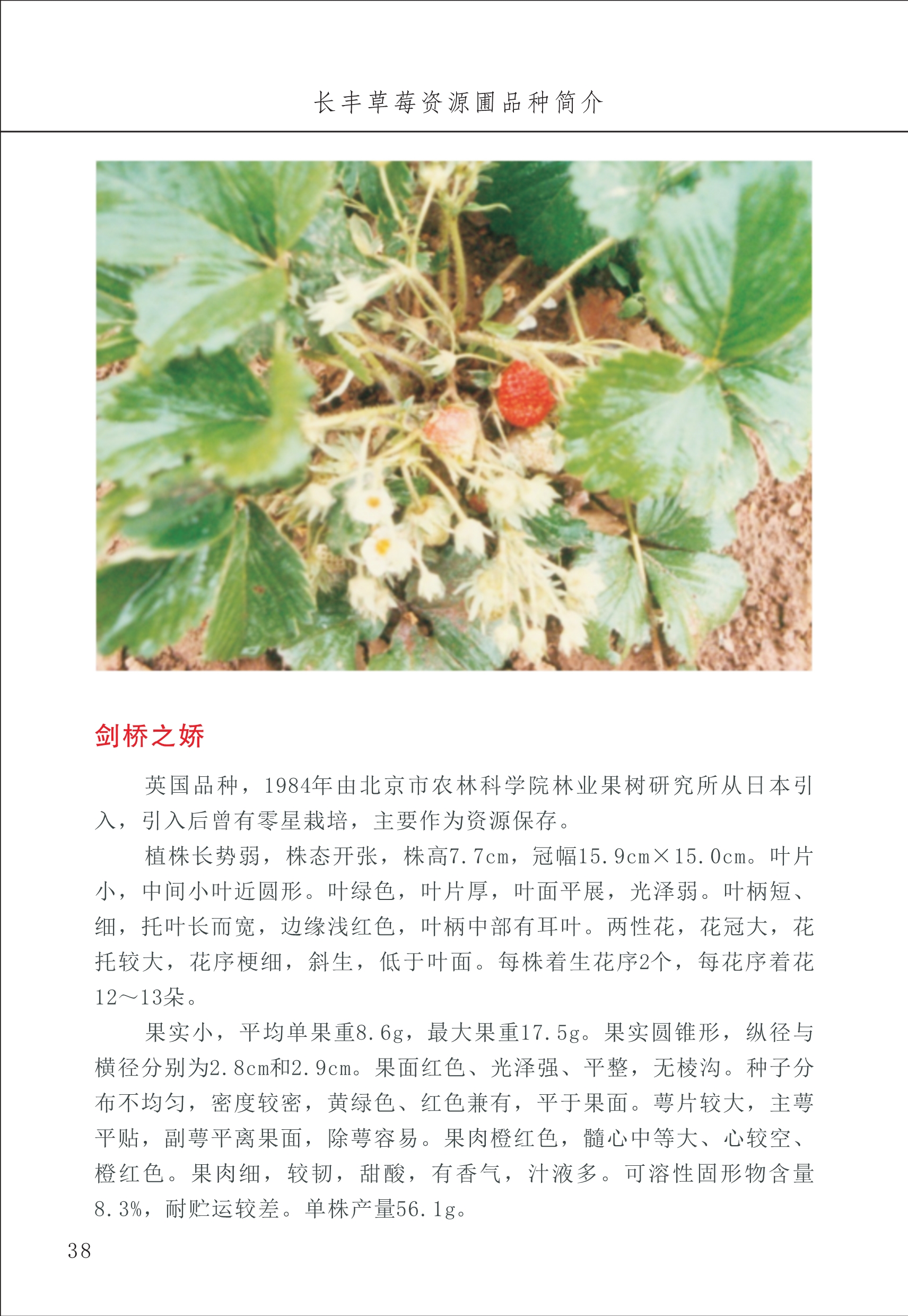 長(cháng)丰农技中心1_42.jpg