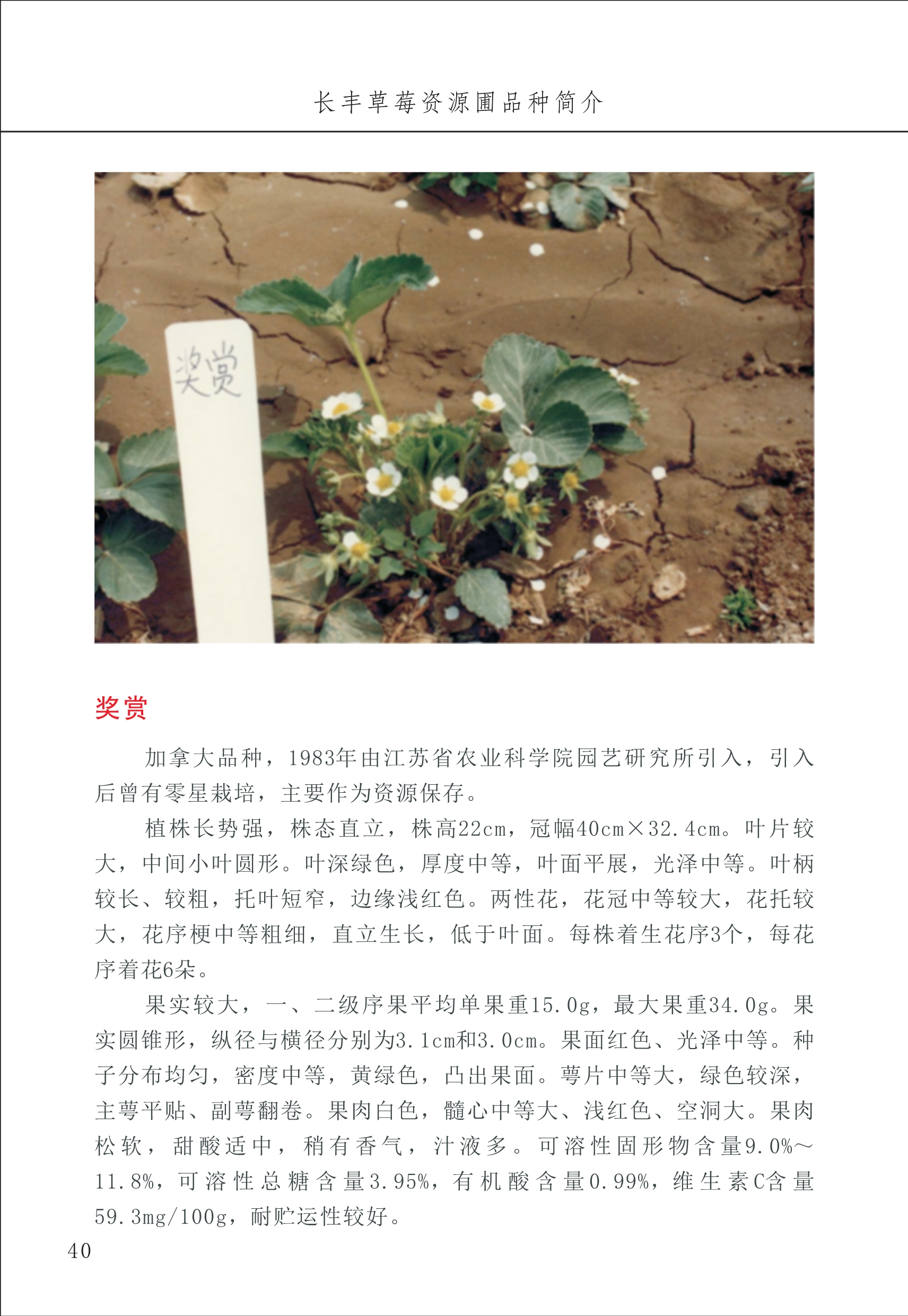 長(cháng)丰农技中心1_44.jpg