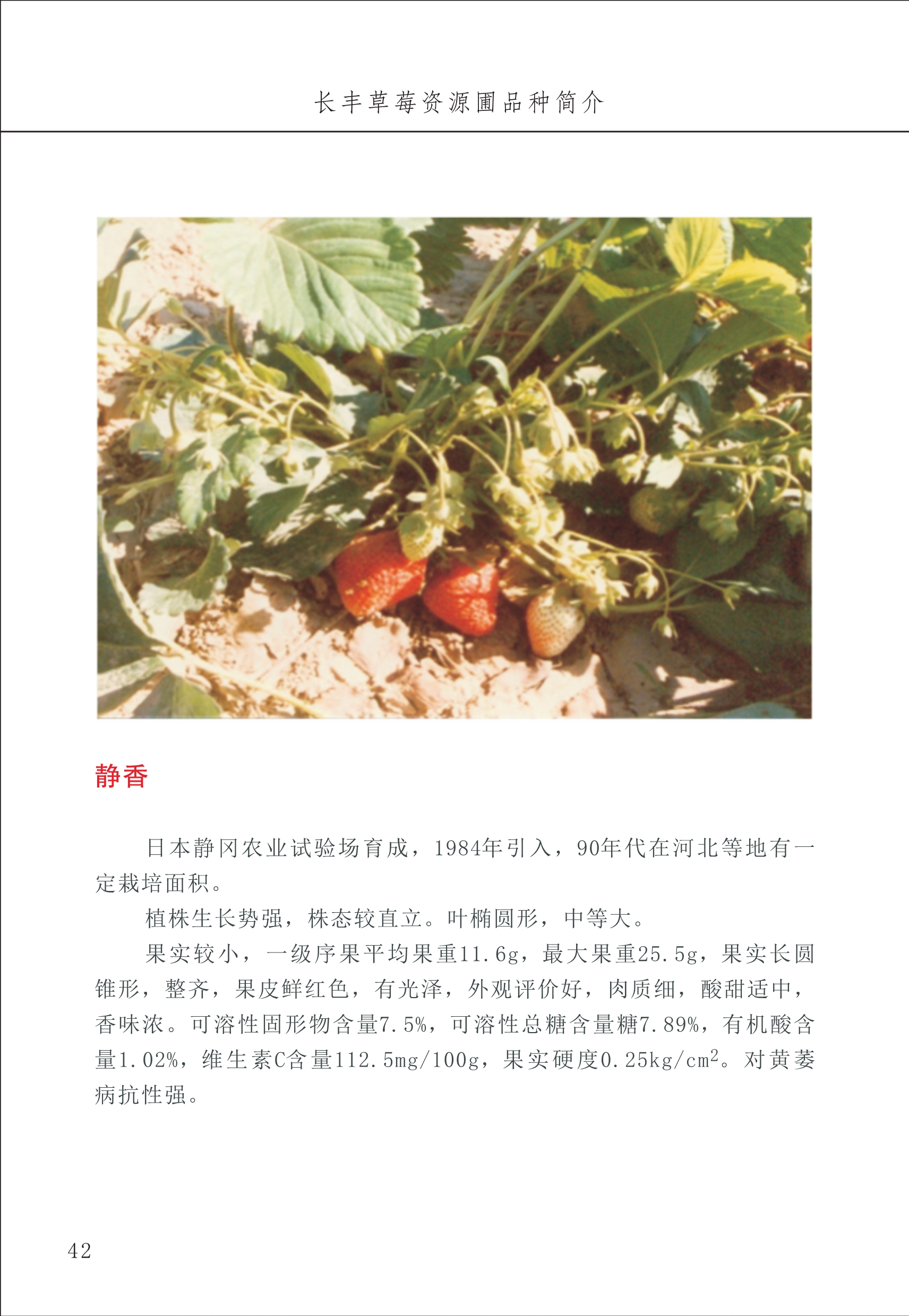 長(cháng)丰农技中心1_46.jpg