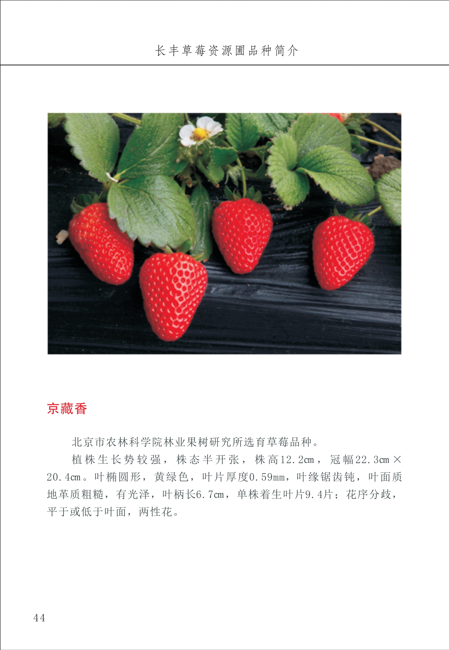 長(cháng)丰农技中心1_48.jpg