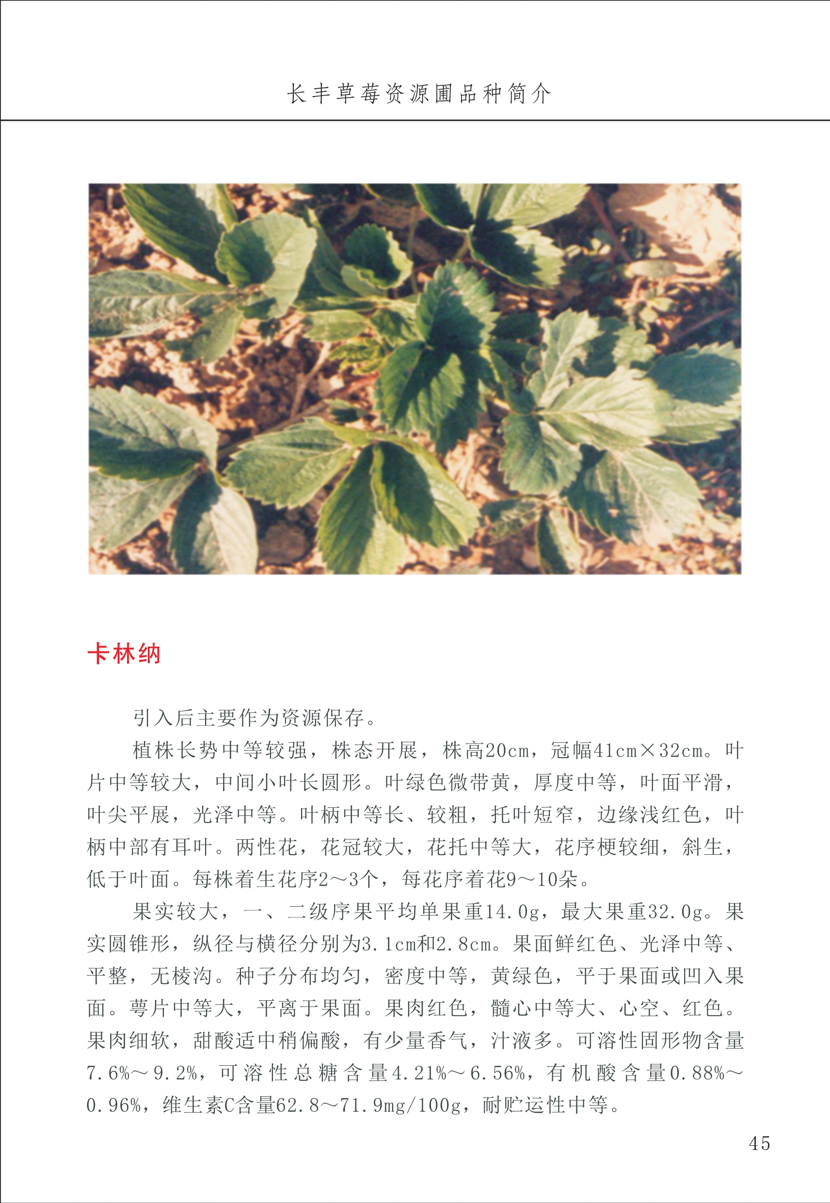 長(cháng)丰农技中心1_49.jpg