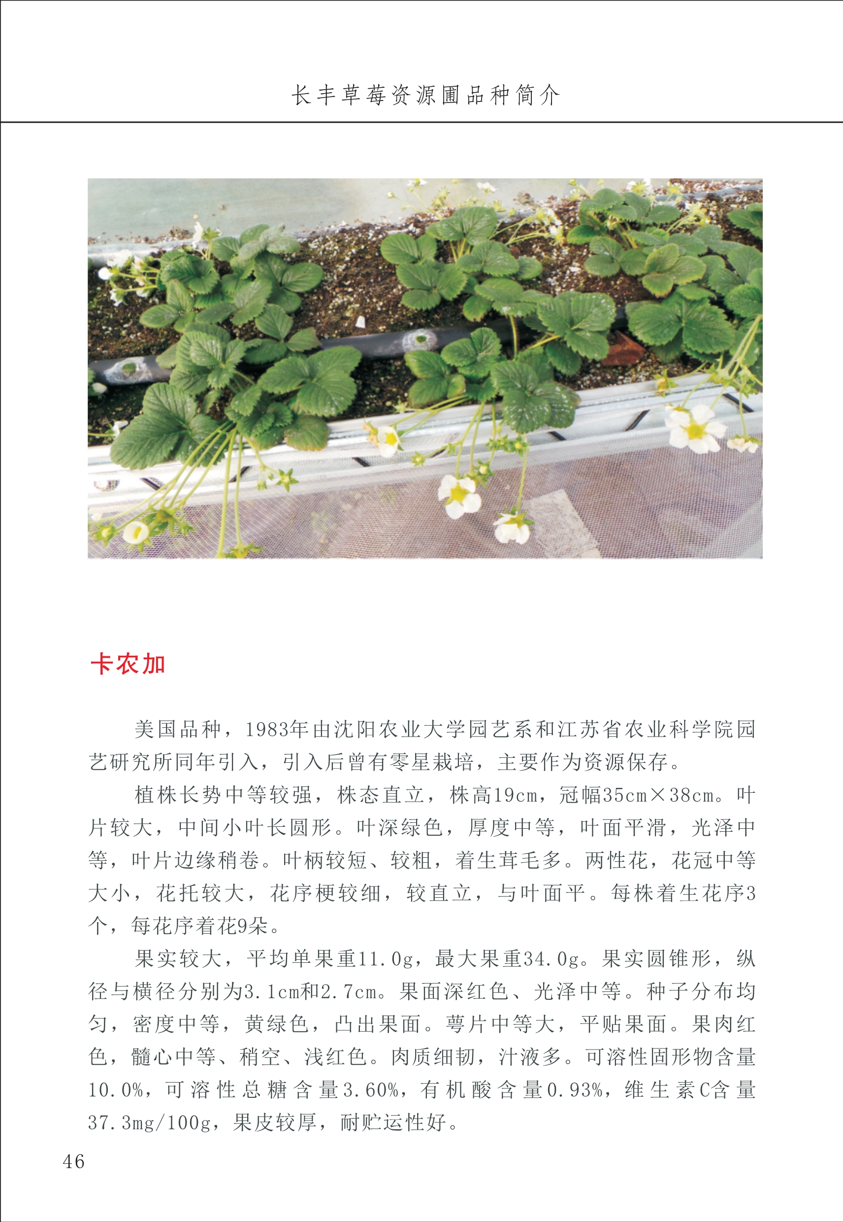 長(cháng)丰农技中心1_50.jpg