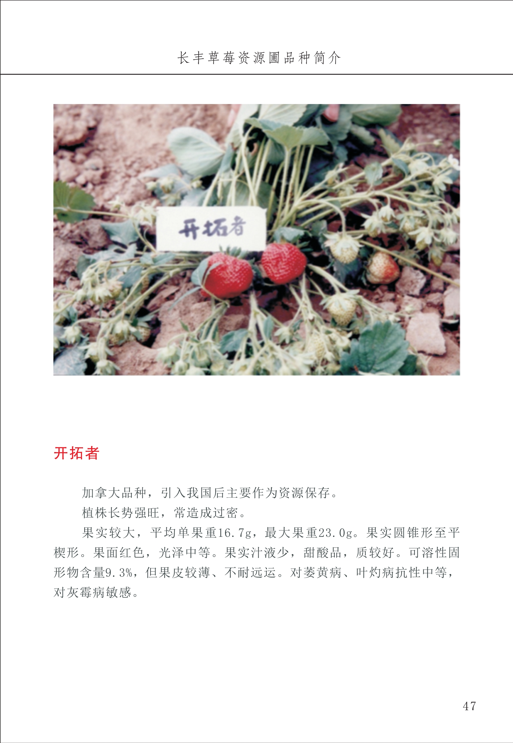長(cháng)丰农技中心1_51.jpg