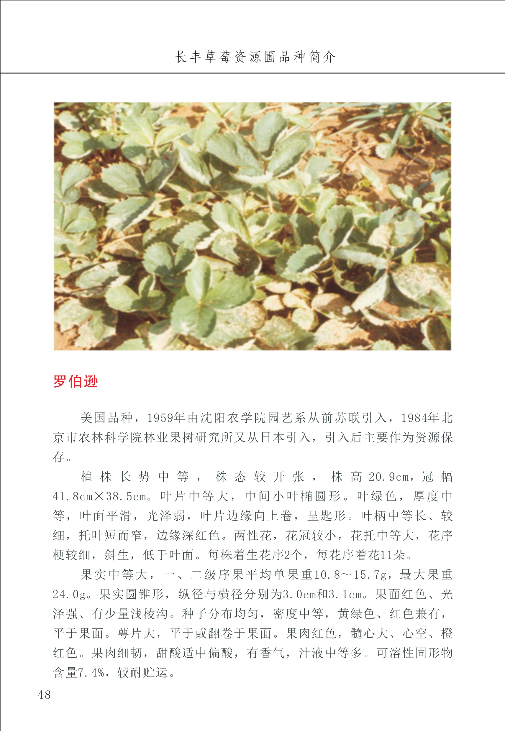 長(cháng)丰农技中心1_52.jpg