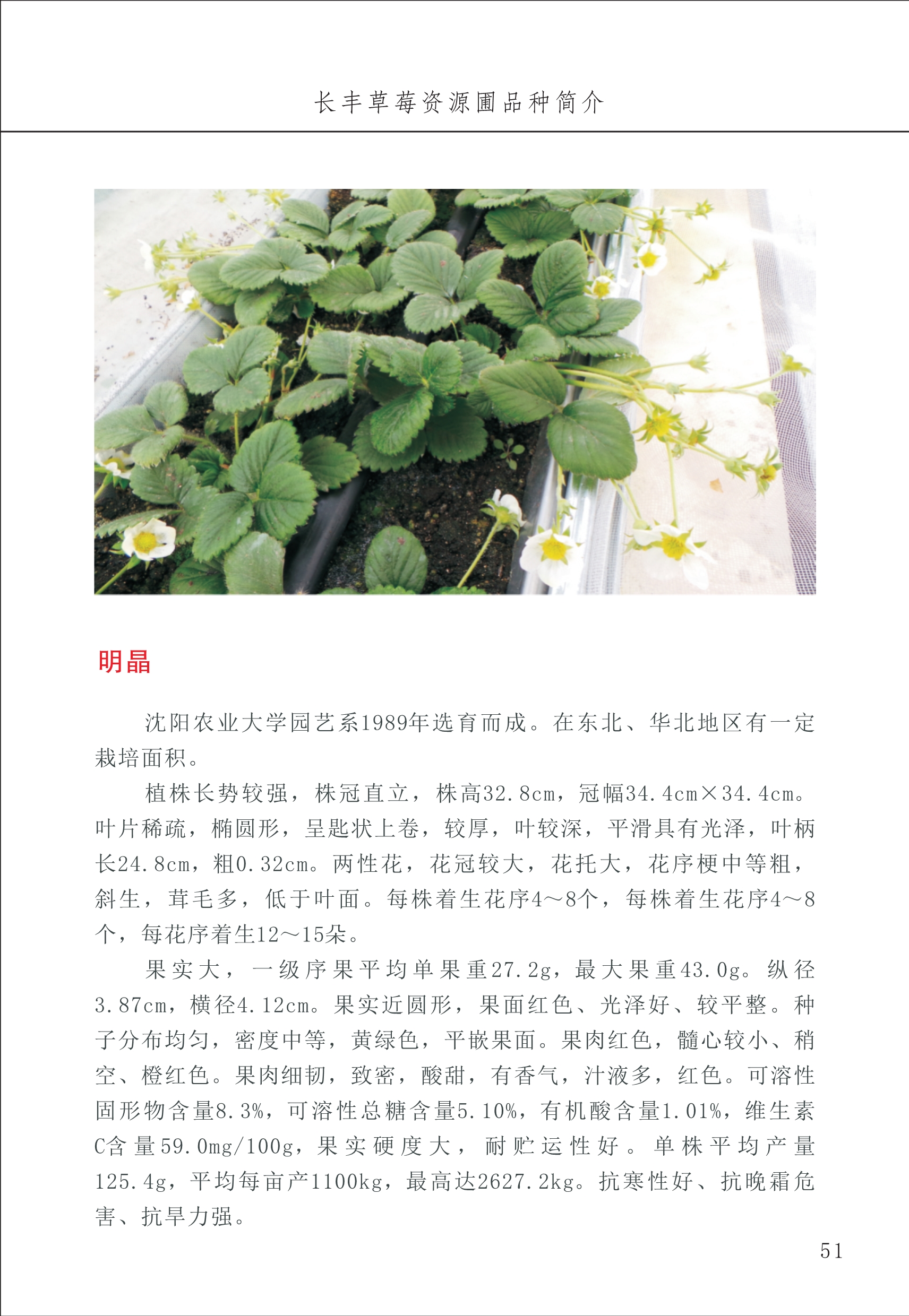 長(cháng)丰农技中心1_55.jpg