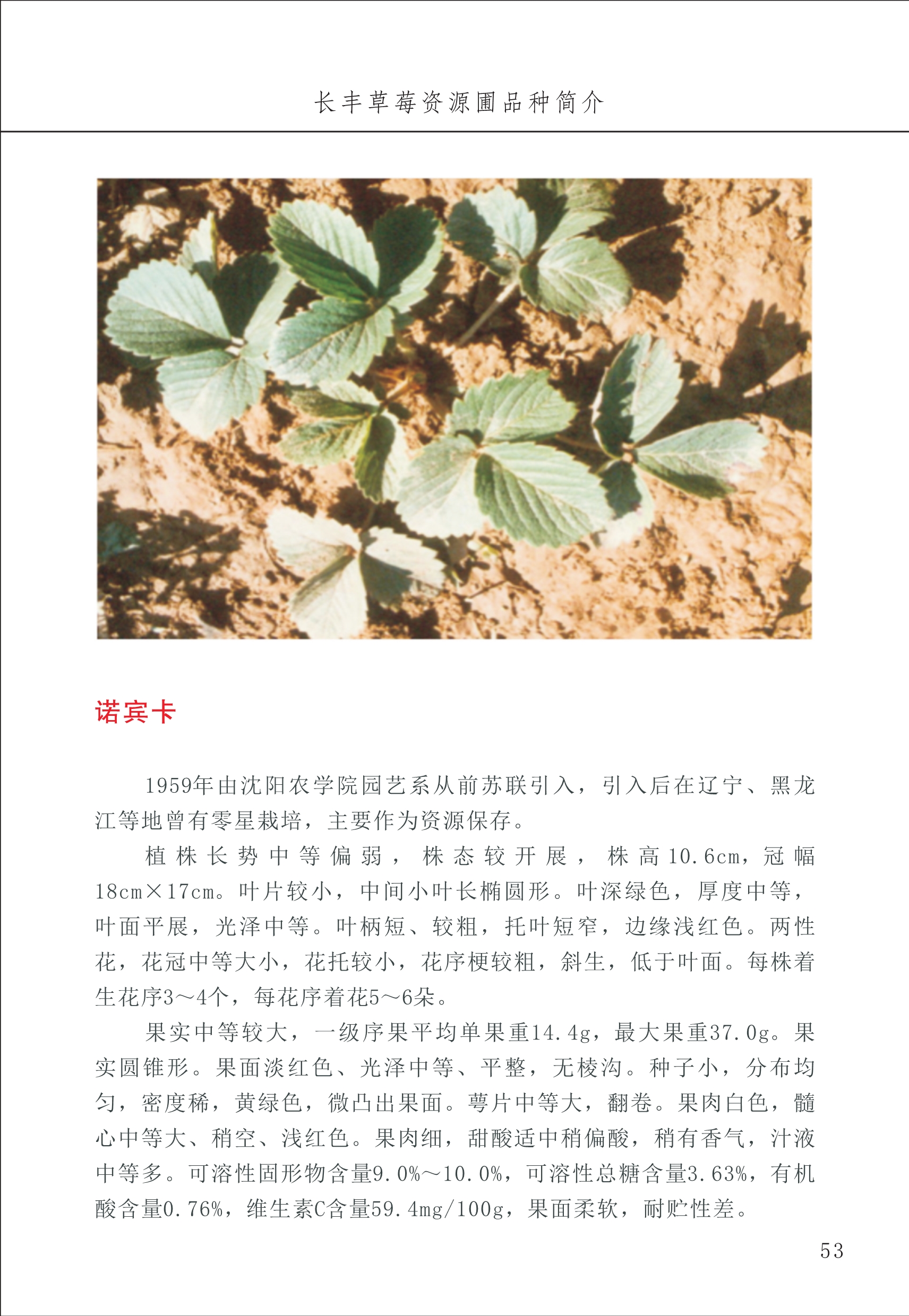 長(cháng)丰农技中心1_57.jpg