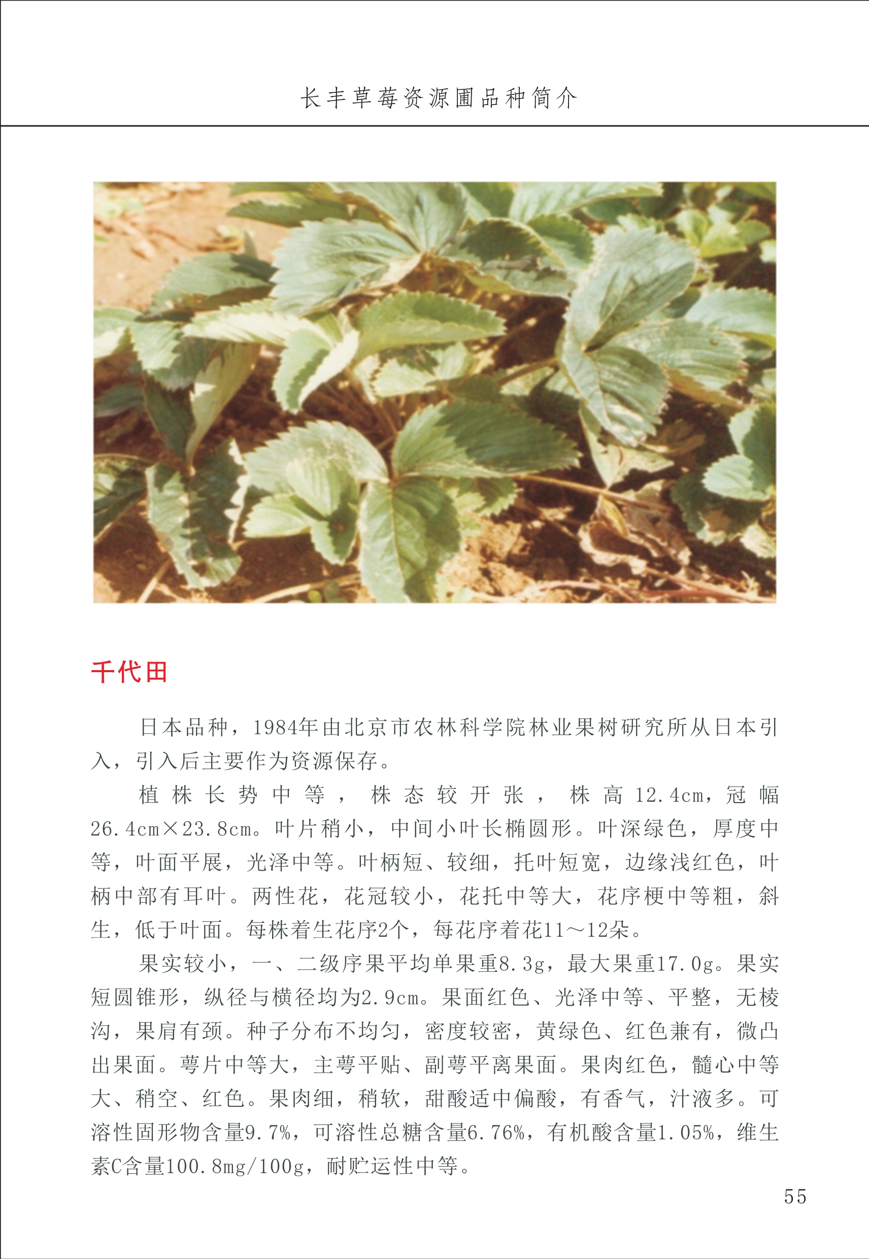 長(cháng)丰农技中心1_59.jpg