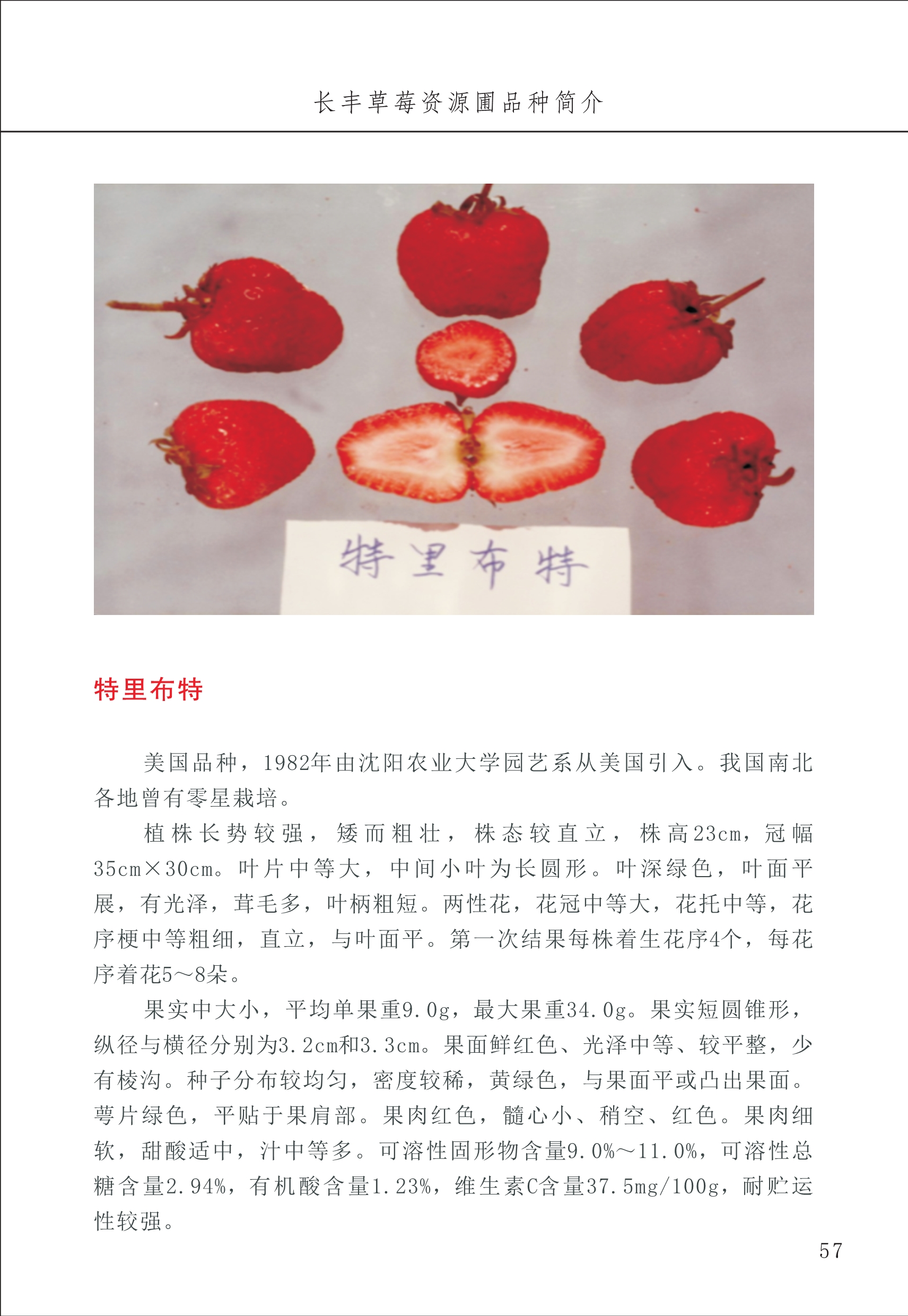 長(cháng)丰农技中心1_61.jpg