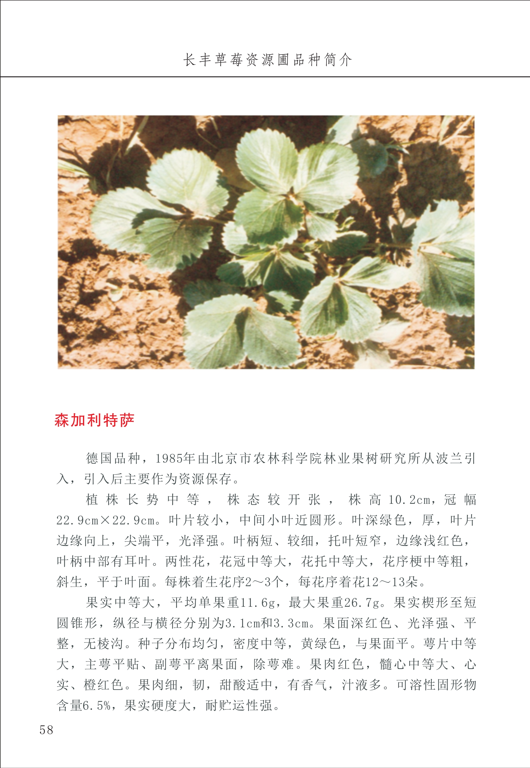 長(cháng)丰农技中心1_62.jpg