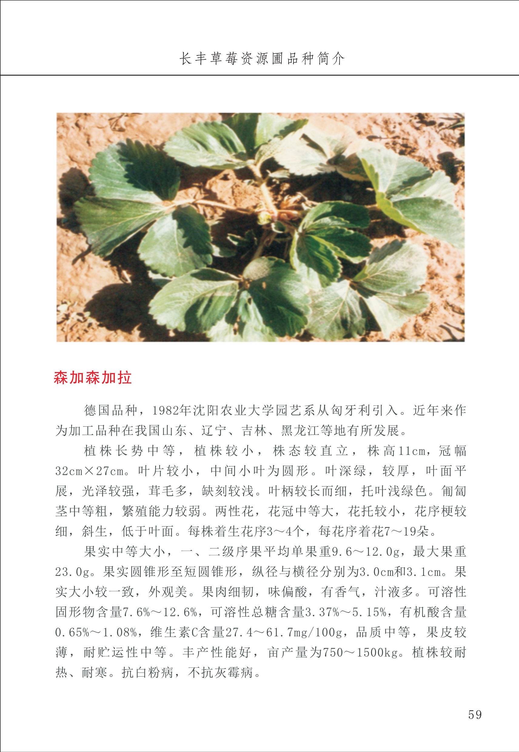 長(cháng)丰农技中心1_63.jpg