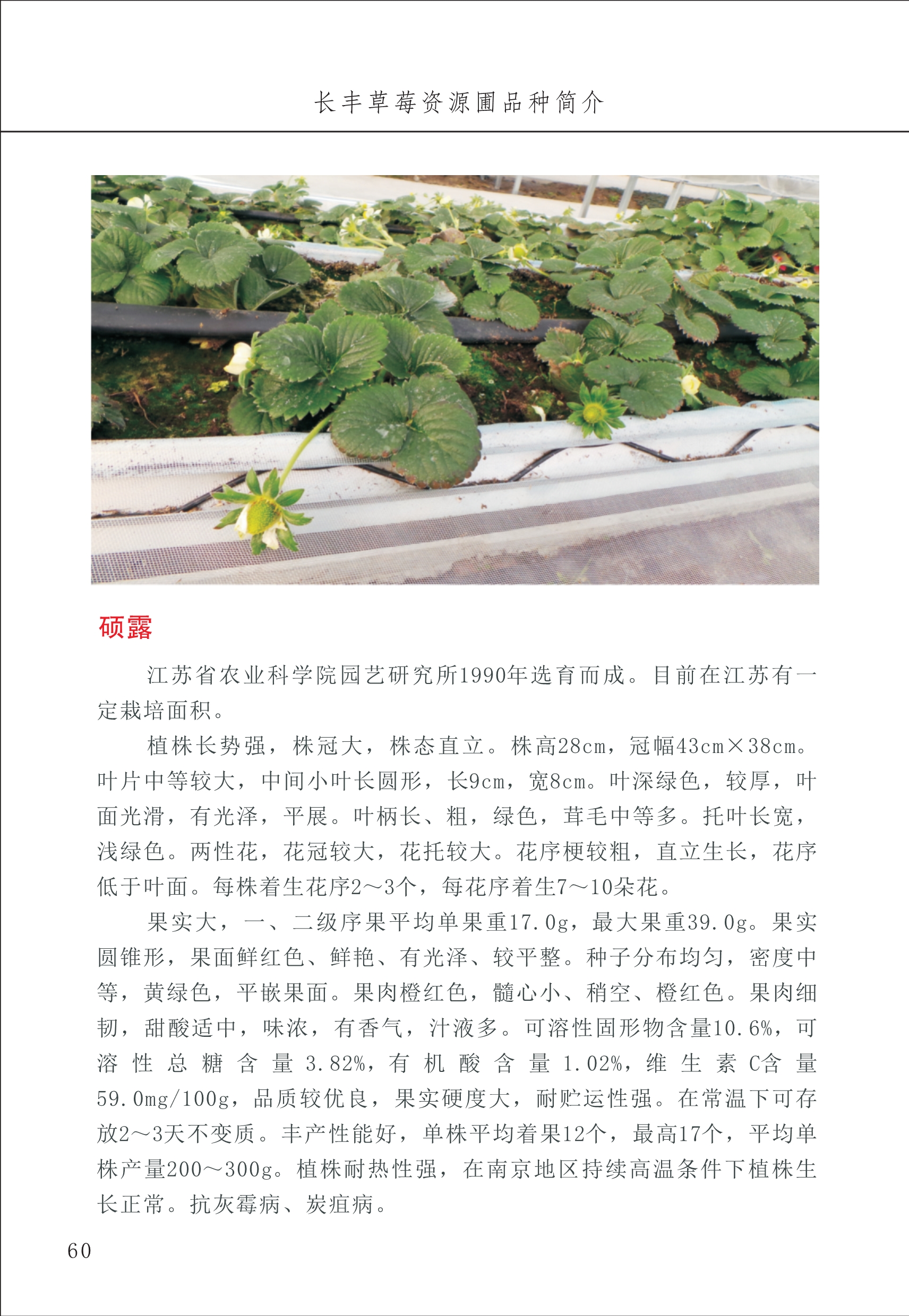 長(cháng)丰农技中心1_64.jpg