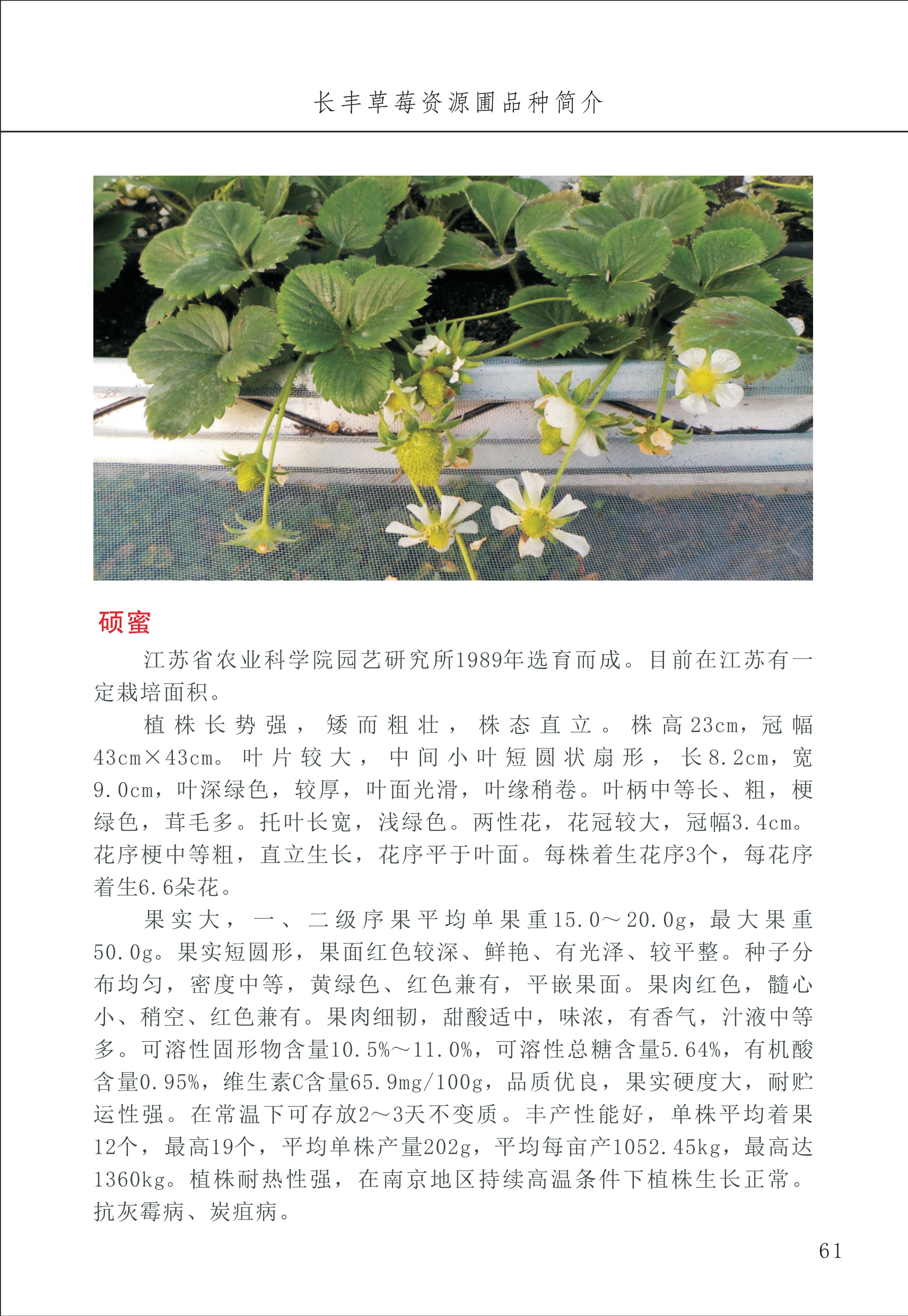 長(cháng)丰农技中心1_65.jpg