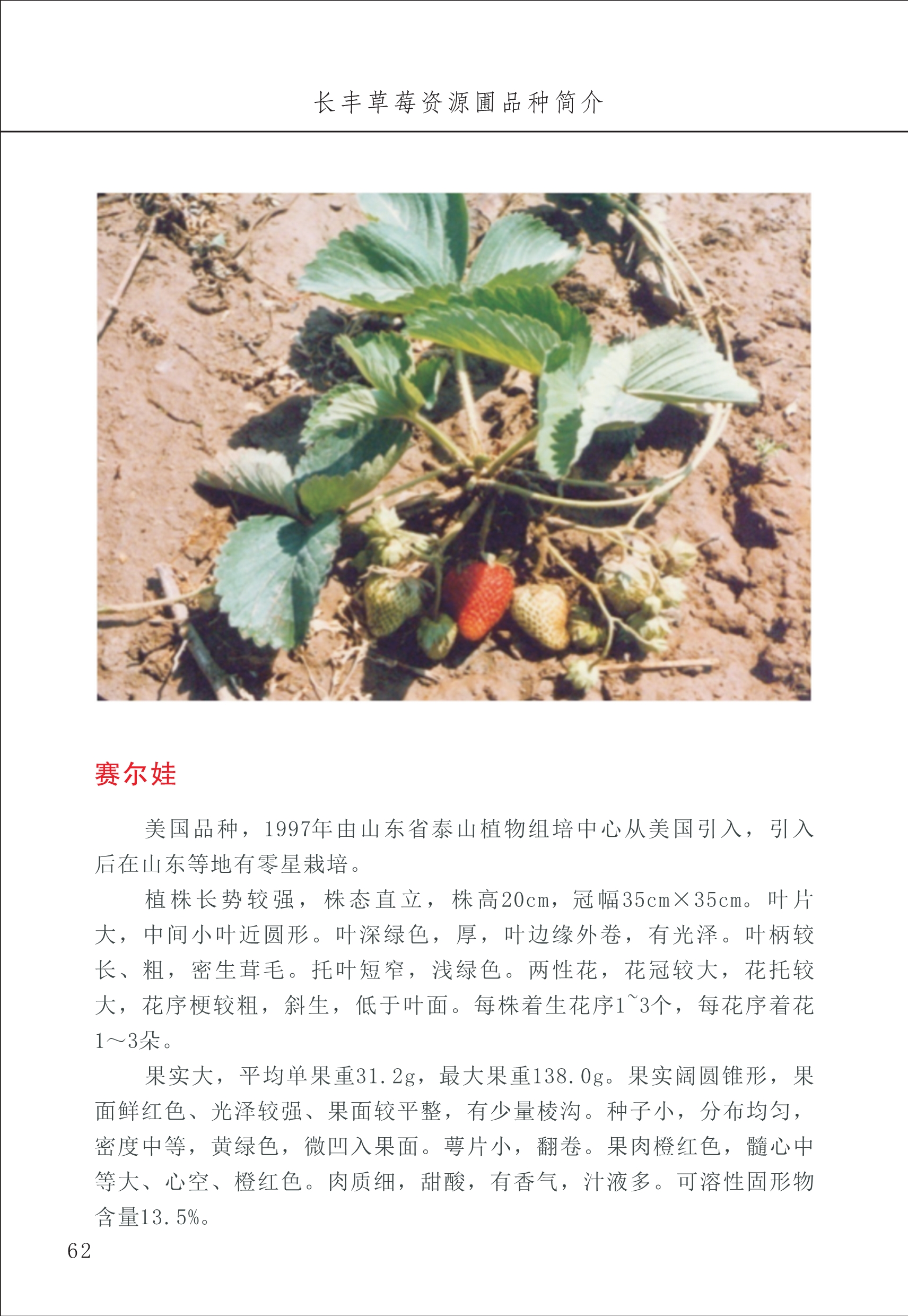 長(cháng)丰农技中心1_66.jpg