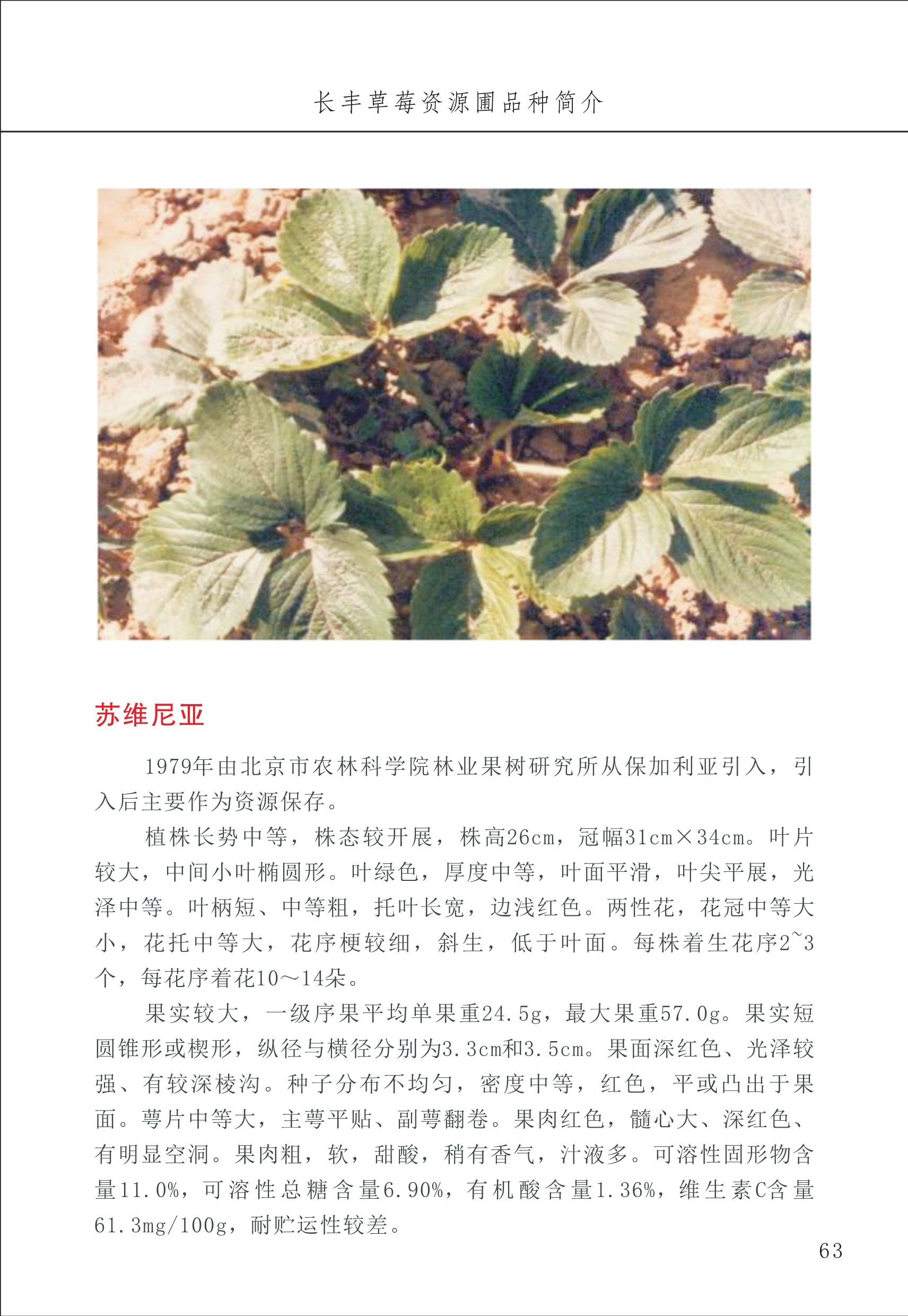 長(cháng)丰农技中心1_67.jpg