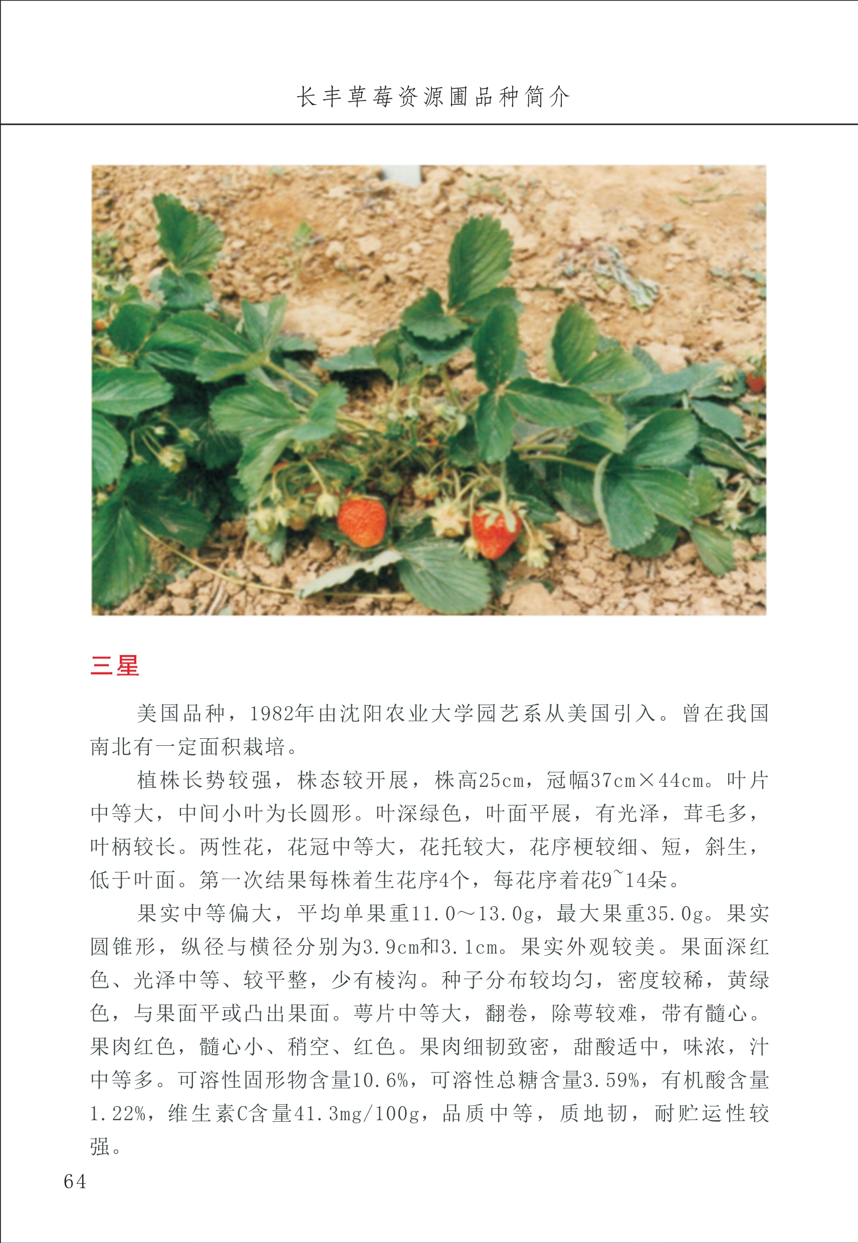 長(cháng)丰农技中心1_68.jpg