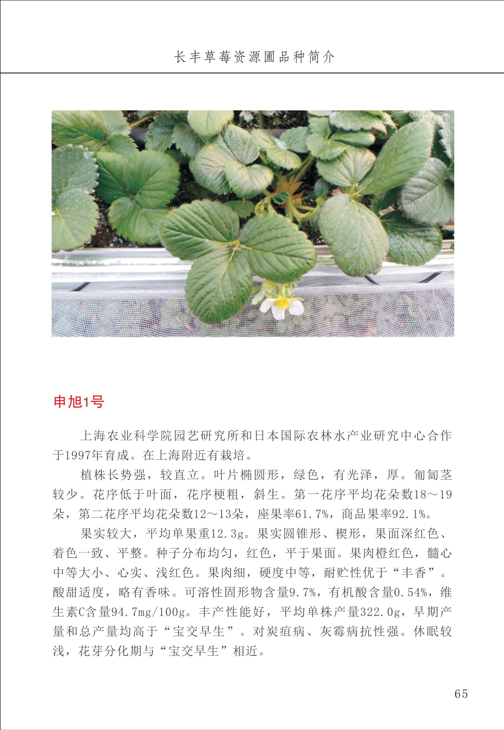 長(cháng)丰农技中心1_69.jpg