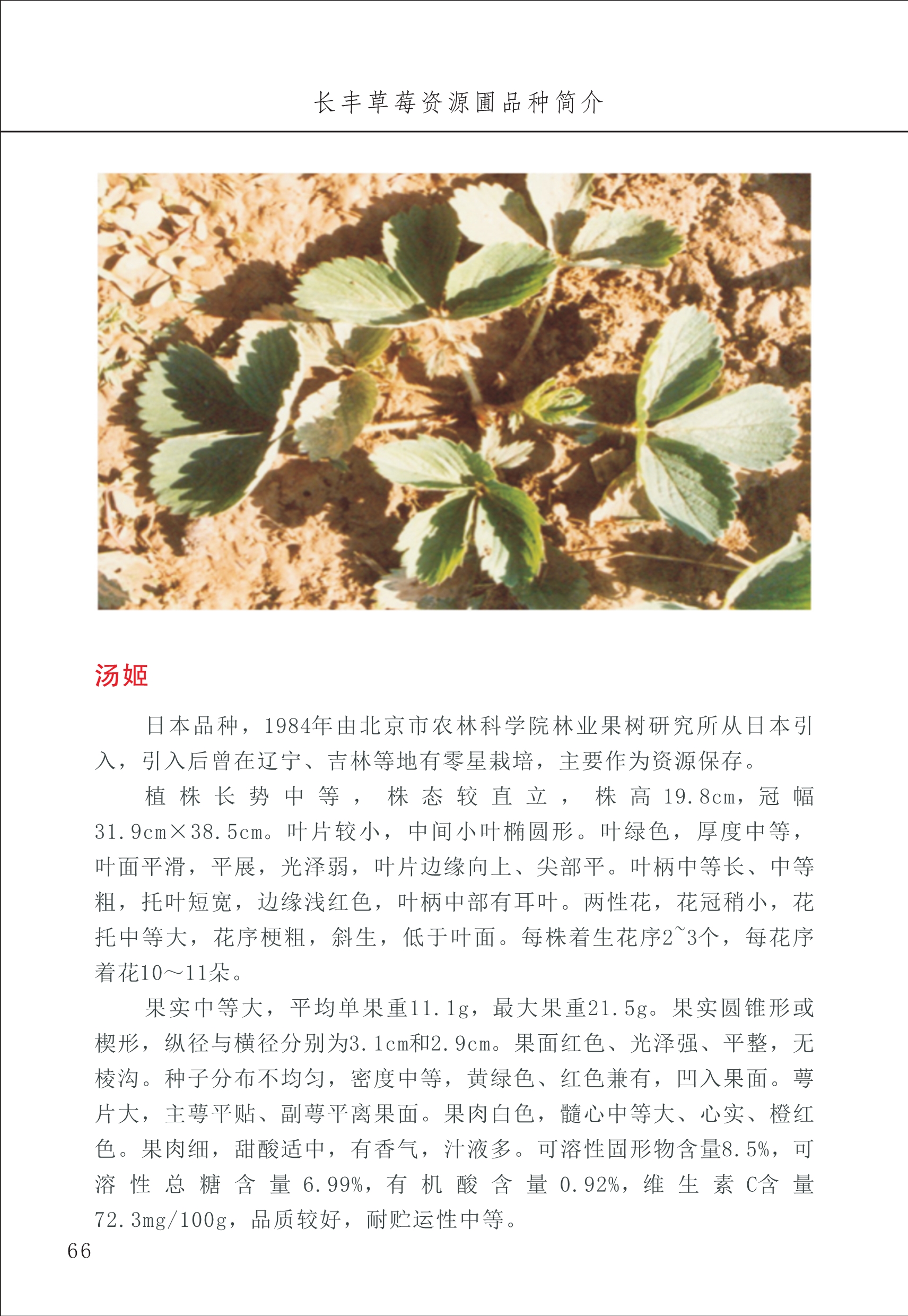 長(cháng)丰农技中心1_70.jpg