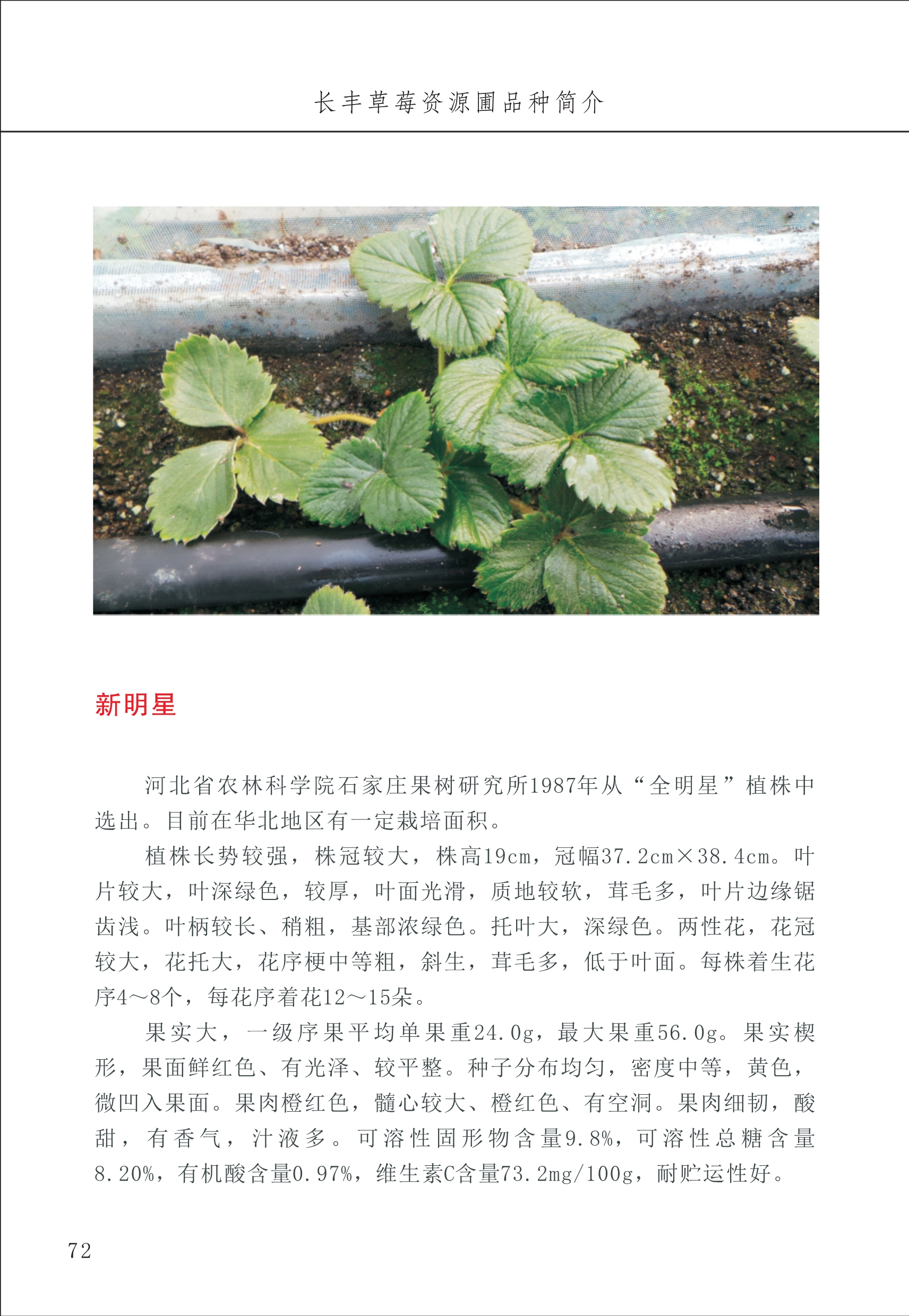 長(cháng)丰农技中心1_76.jpg
