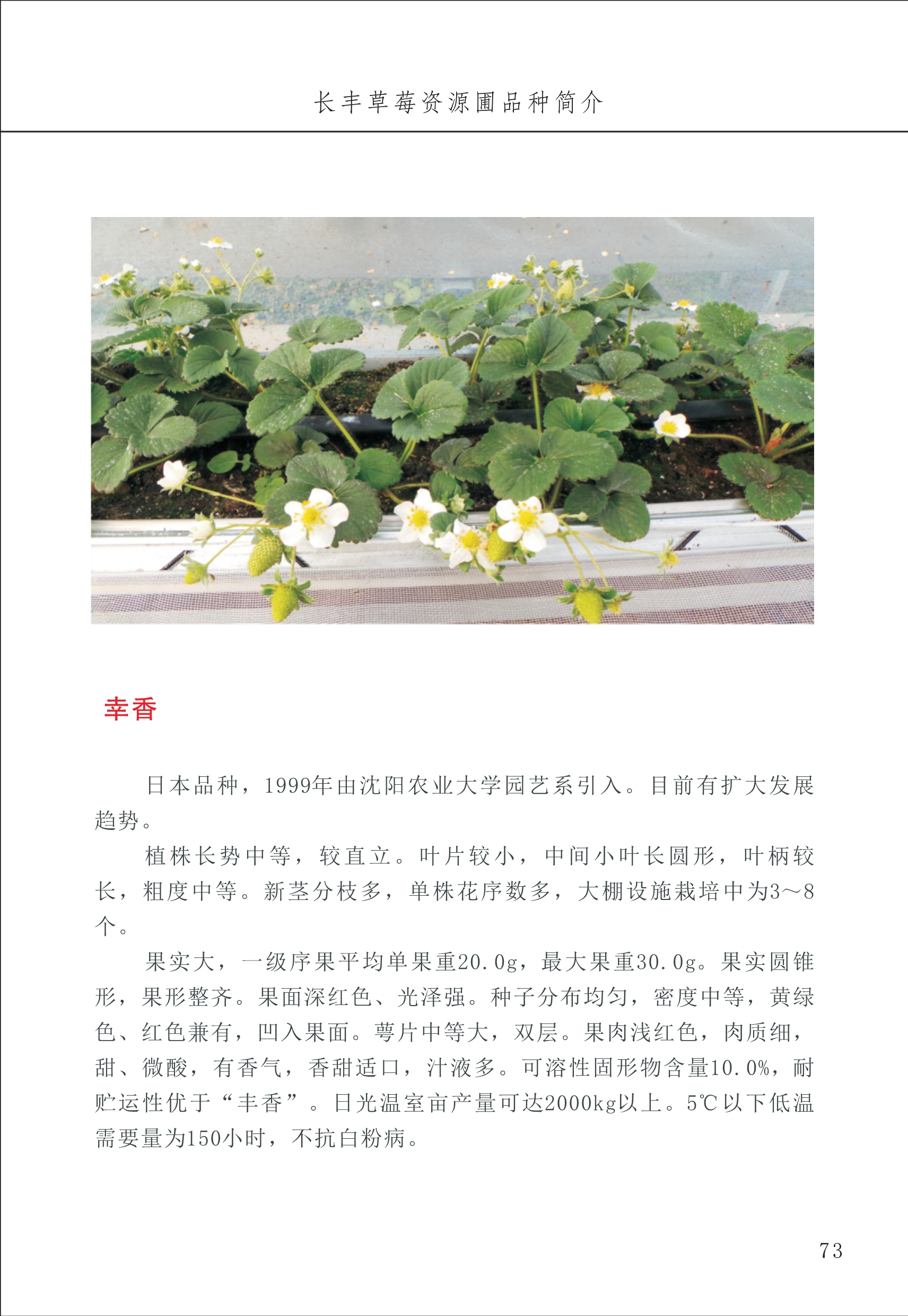 長(cháng)丰农技中心1_77.jpg