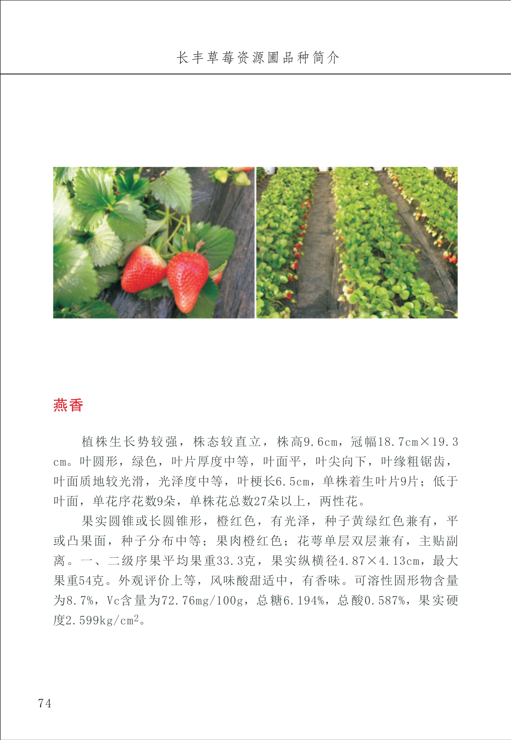 長(cháng)丰农技中心1_78.jpg