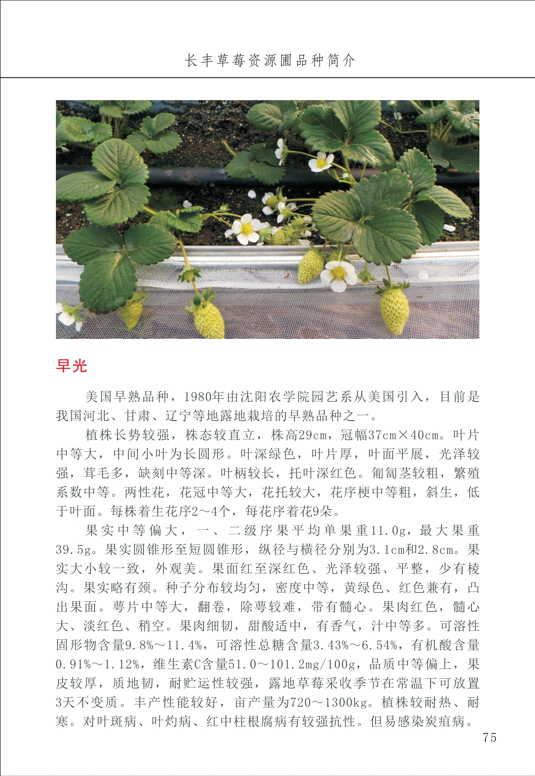 長(cháng)丰农技中心1_79.jpg