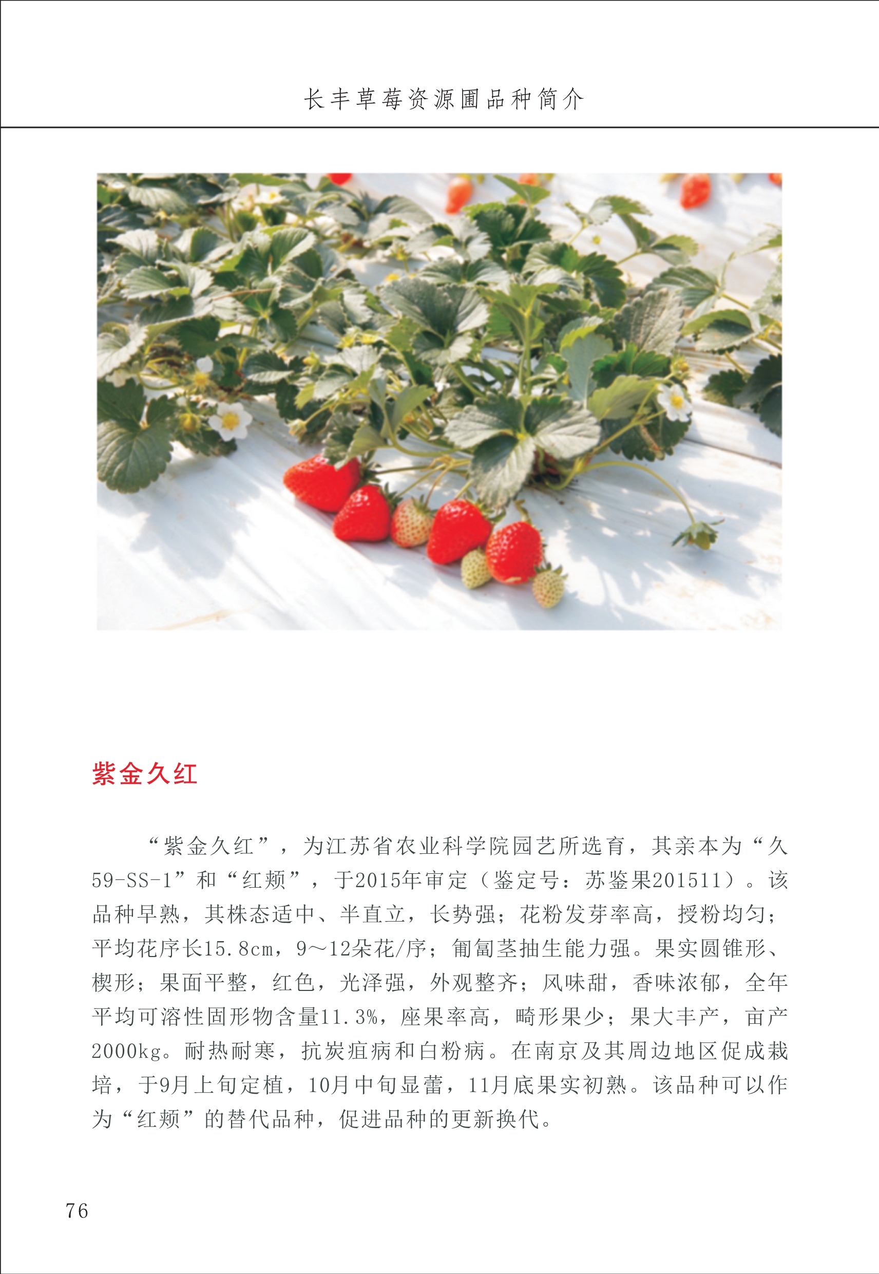 長(cháng)丰农技中心1_80.jpg
