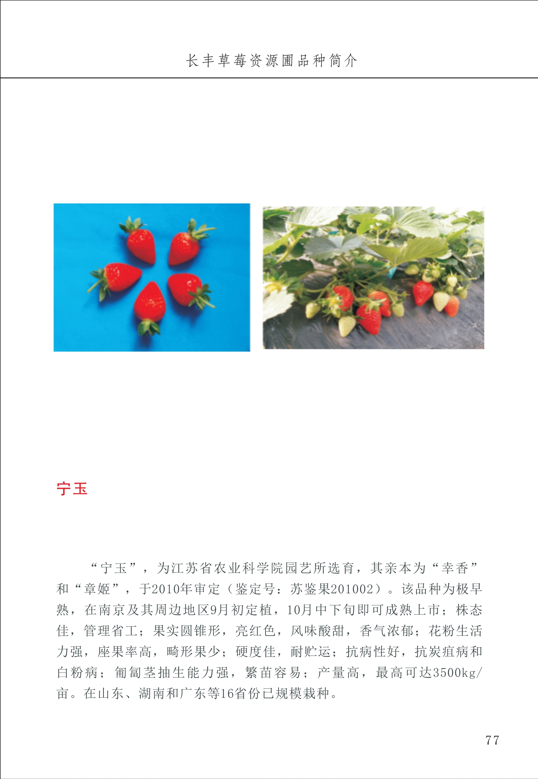 長(cháng)丰农技中心1_81.jpg