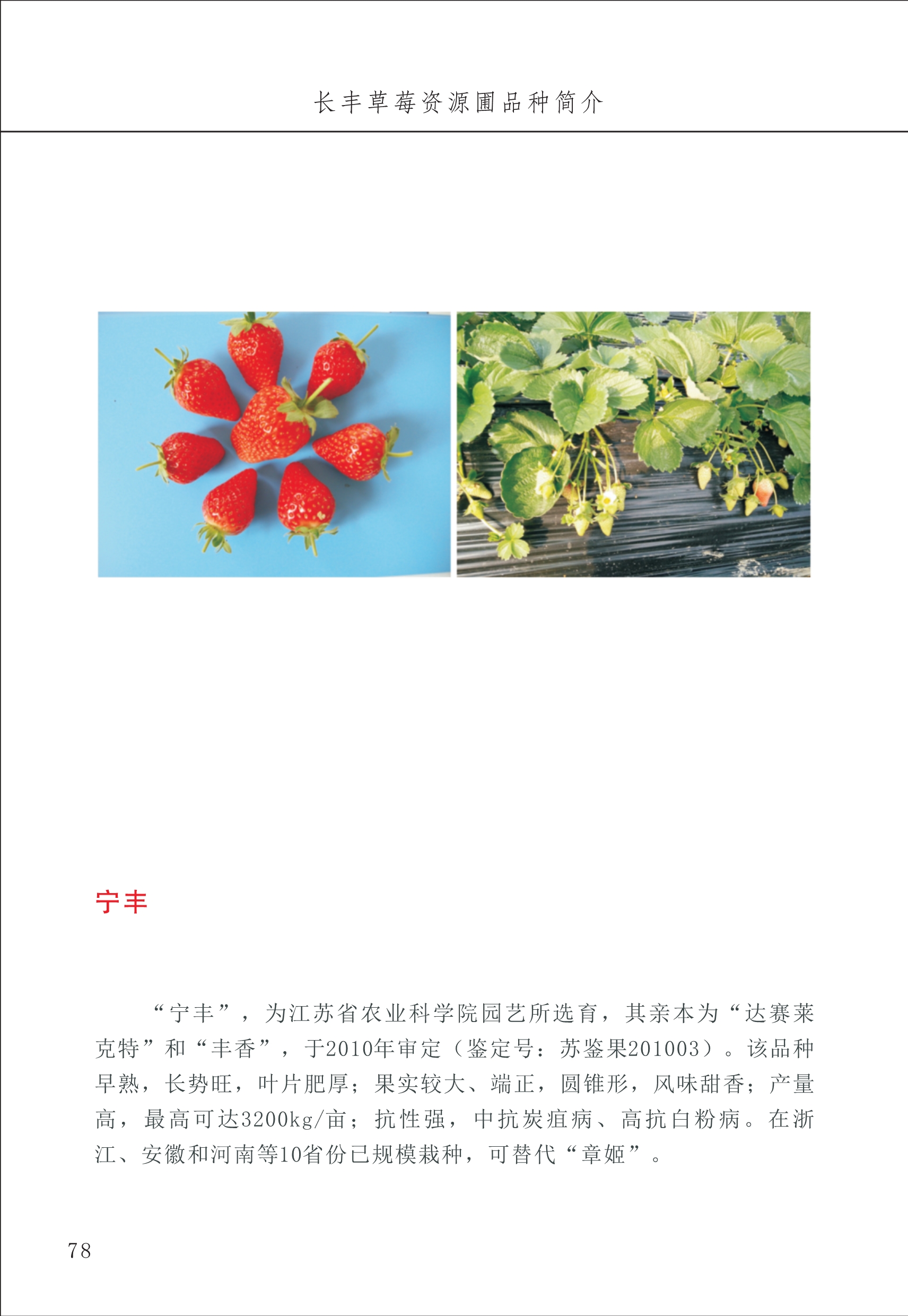 長(cháng)丰农技中心1_82.jpg