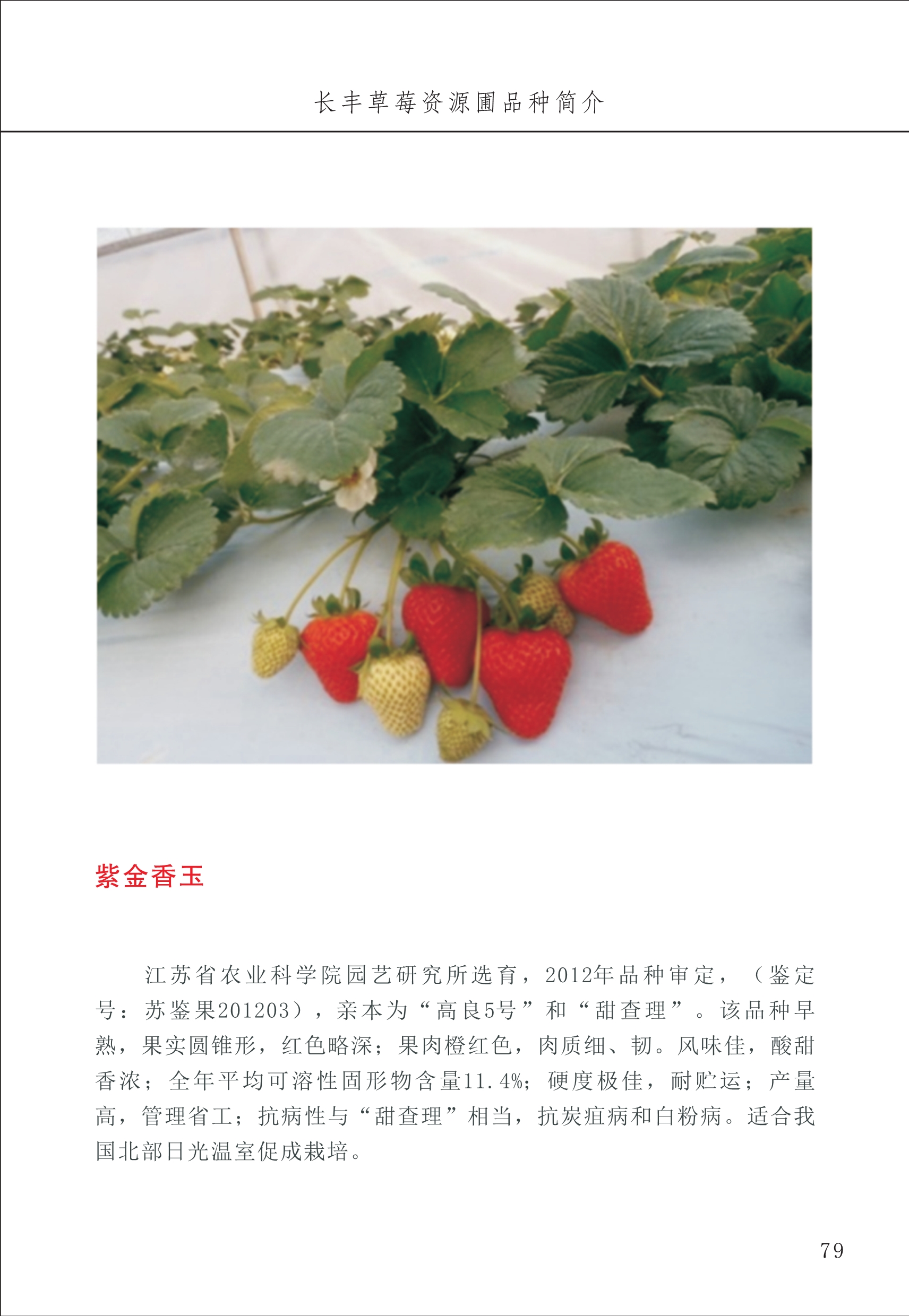 長(cháng)丰农技中心1_83.jpg