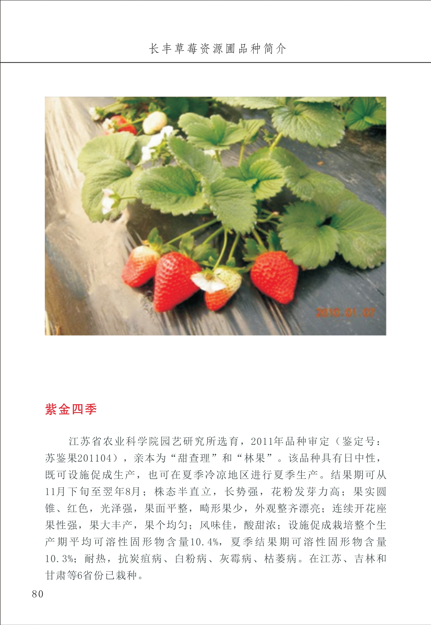 長(cháng)丰农技中心1_84.jpg